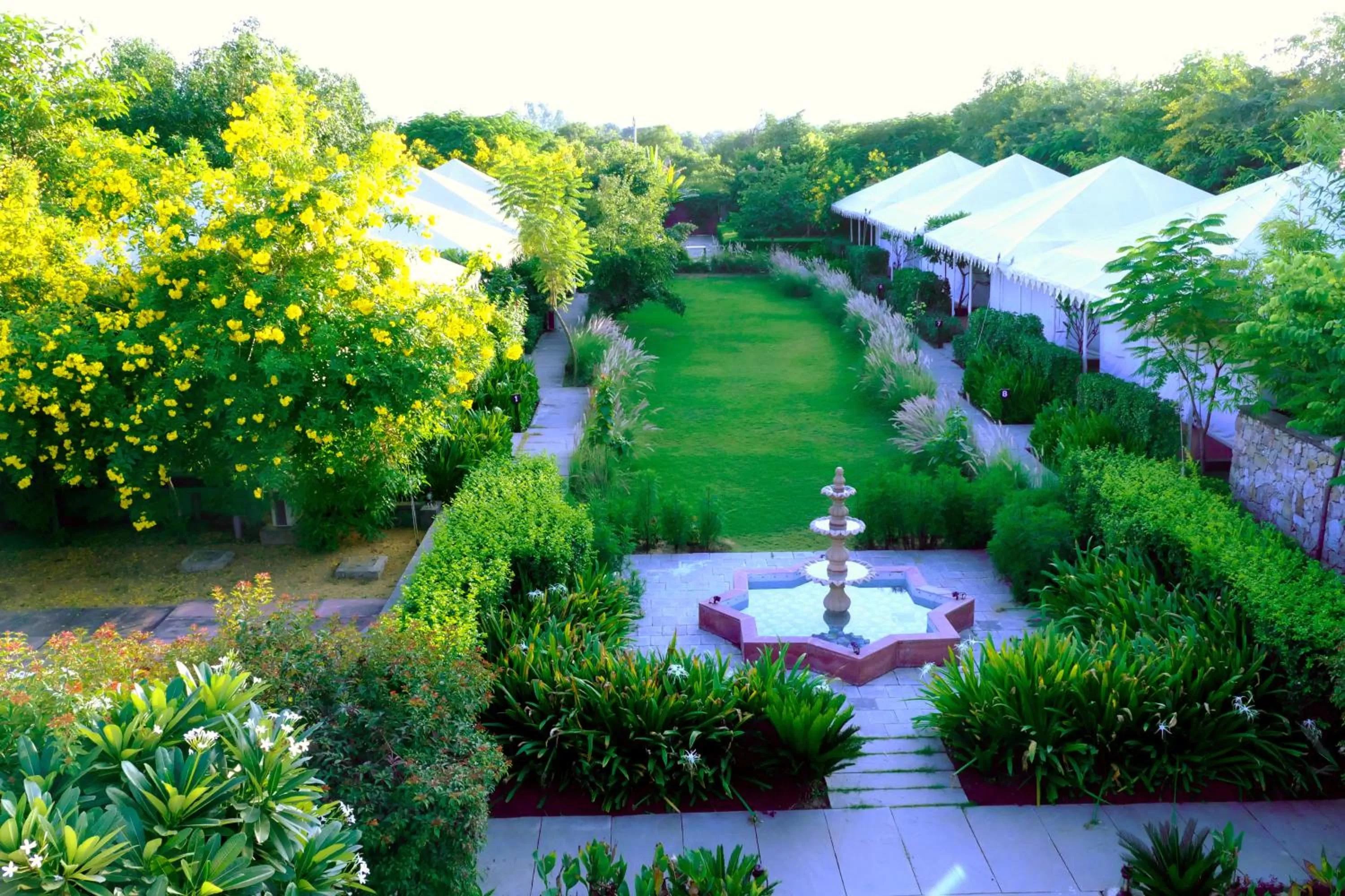 Property building in Madho Bagh