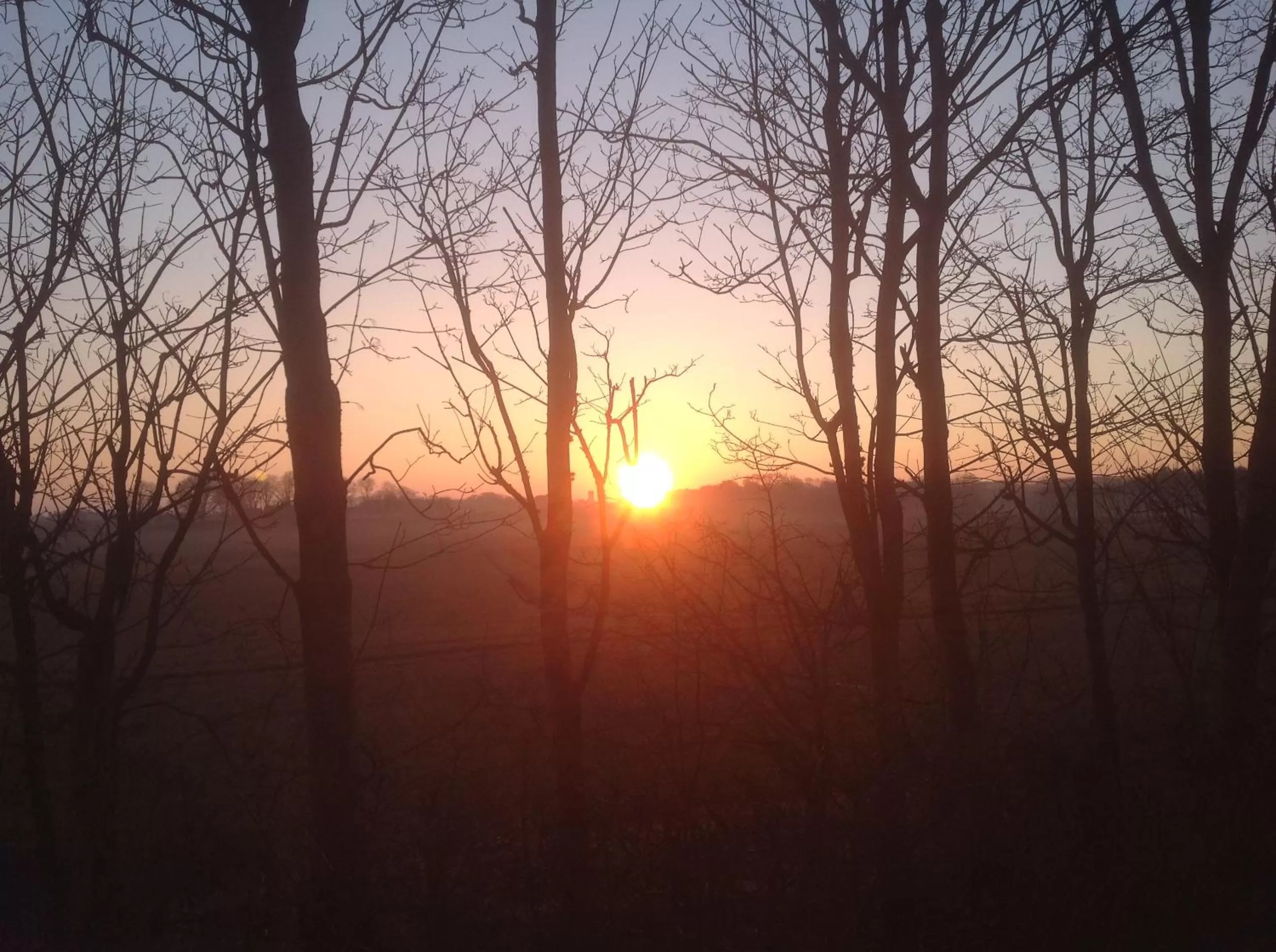 Other, Sunrise/Sunset in Motel Viborg