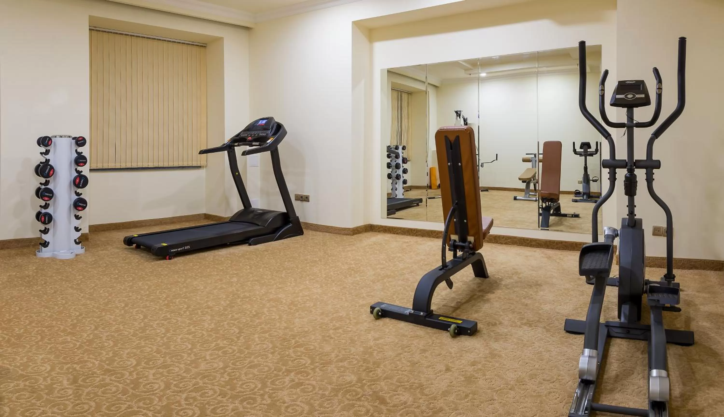 Fitness centre/facilities in Paris Hotel Yerevan
