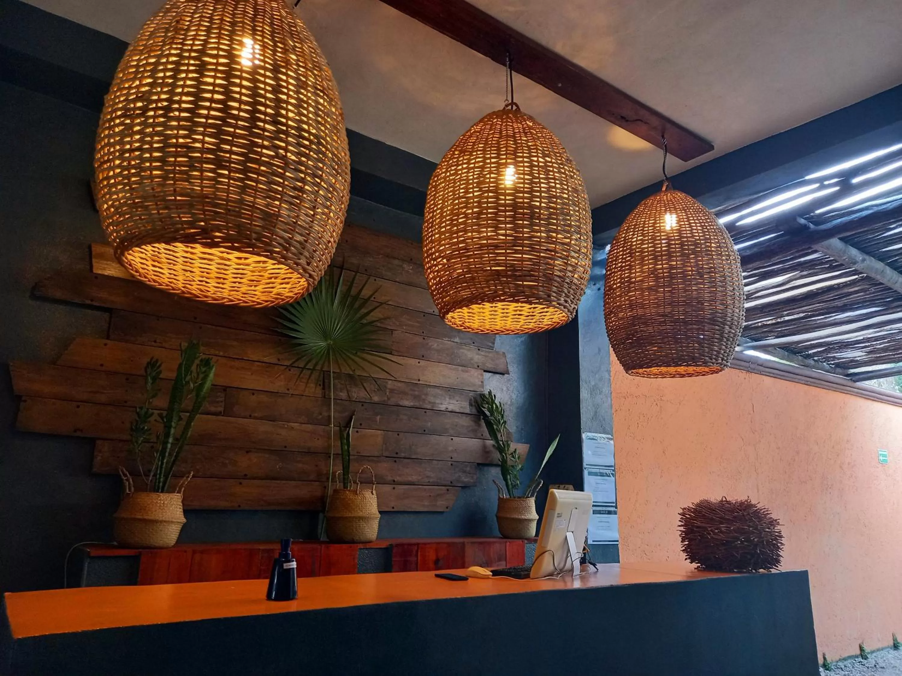 Property building in Hotel Sur Bacalar