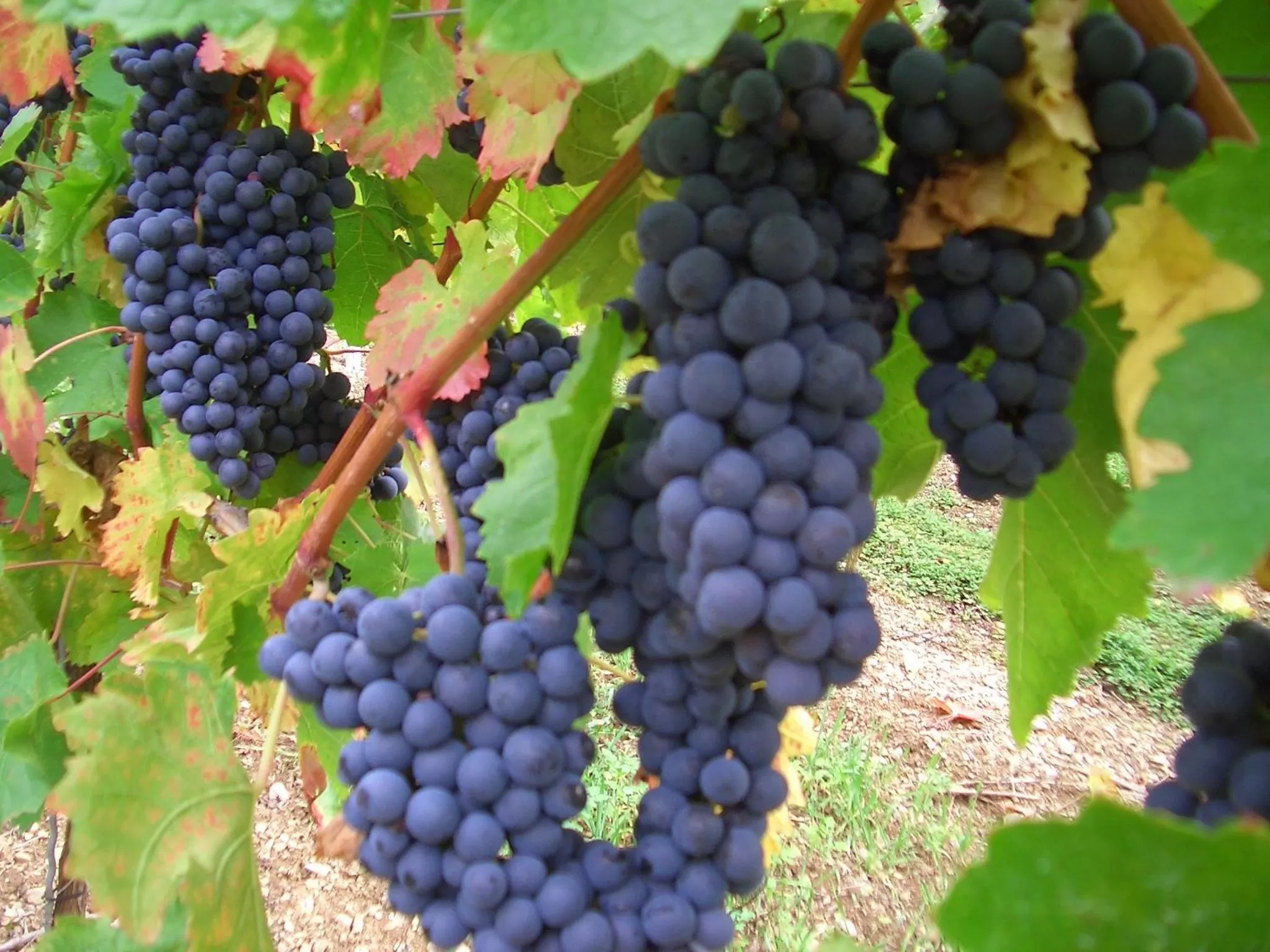 Other in Hotel Deutsches Haus