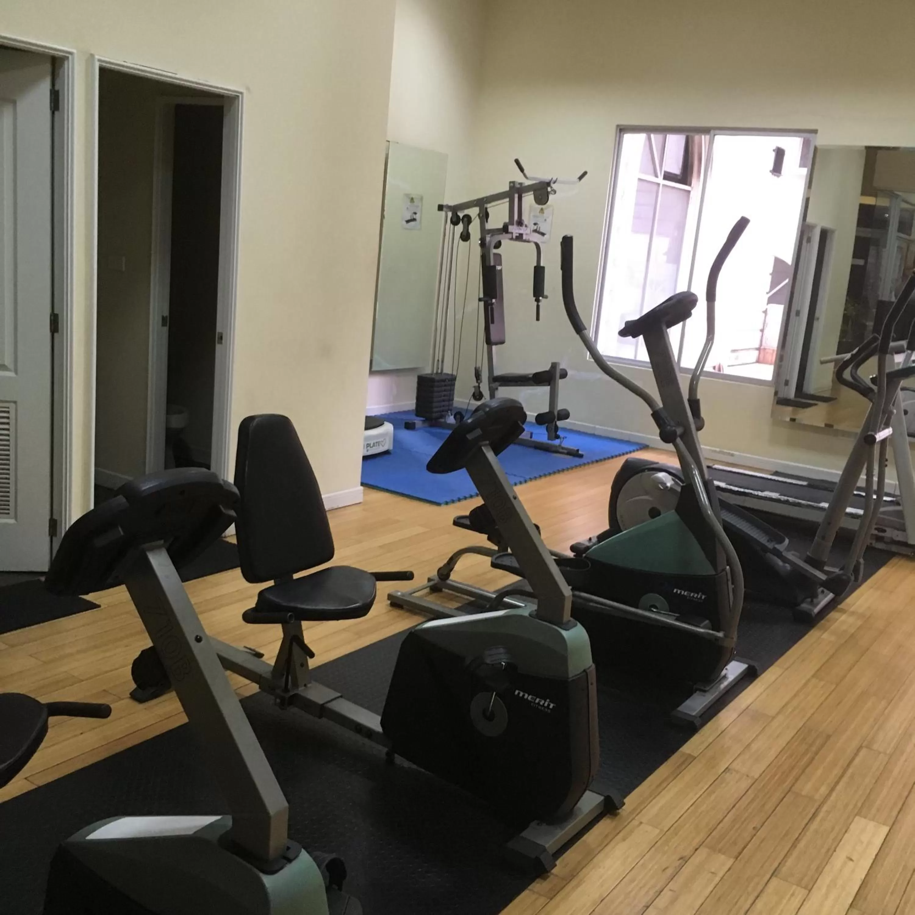 Fitness centre/facilities, Fitness Center/Facilities in Suites Parque Real