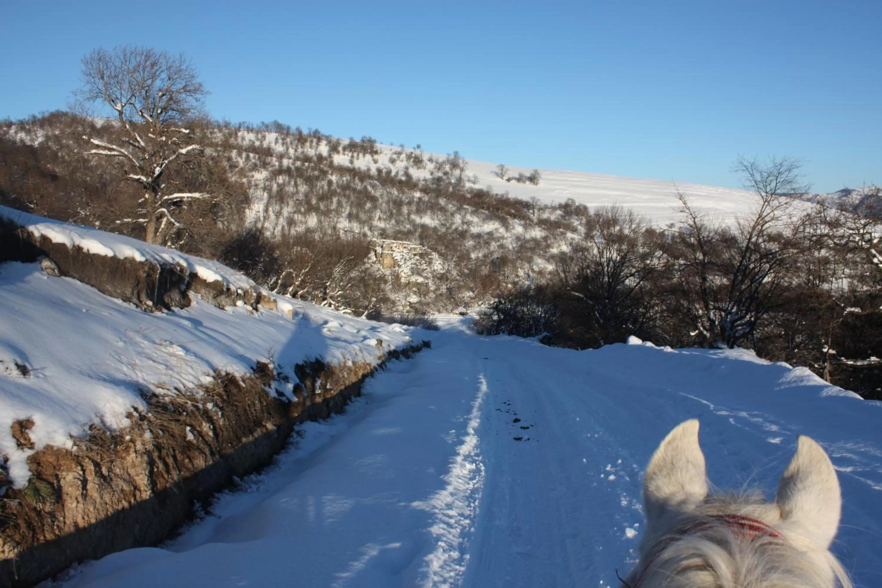 Horse-riding, Winter in Apaga Resort