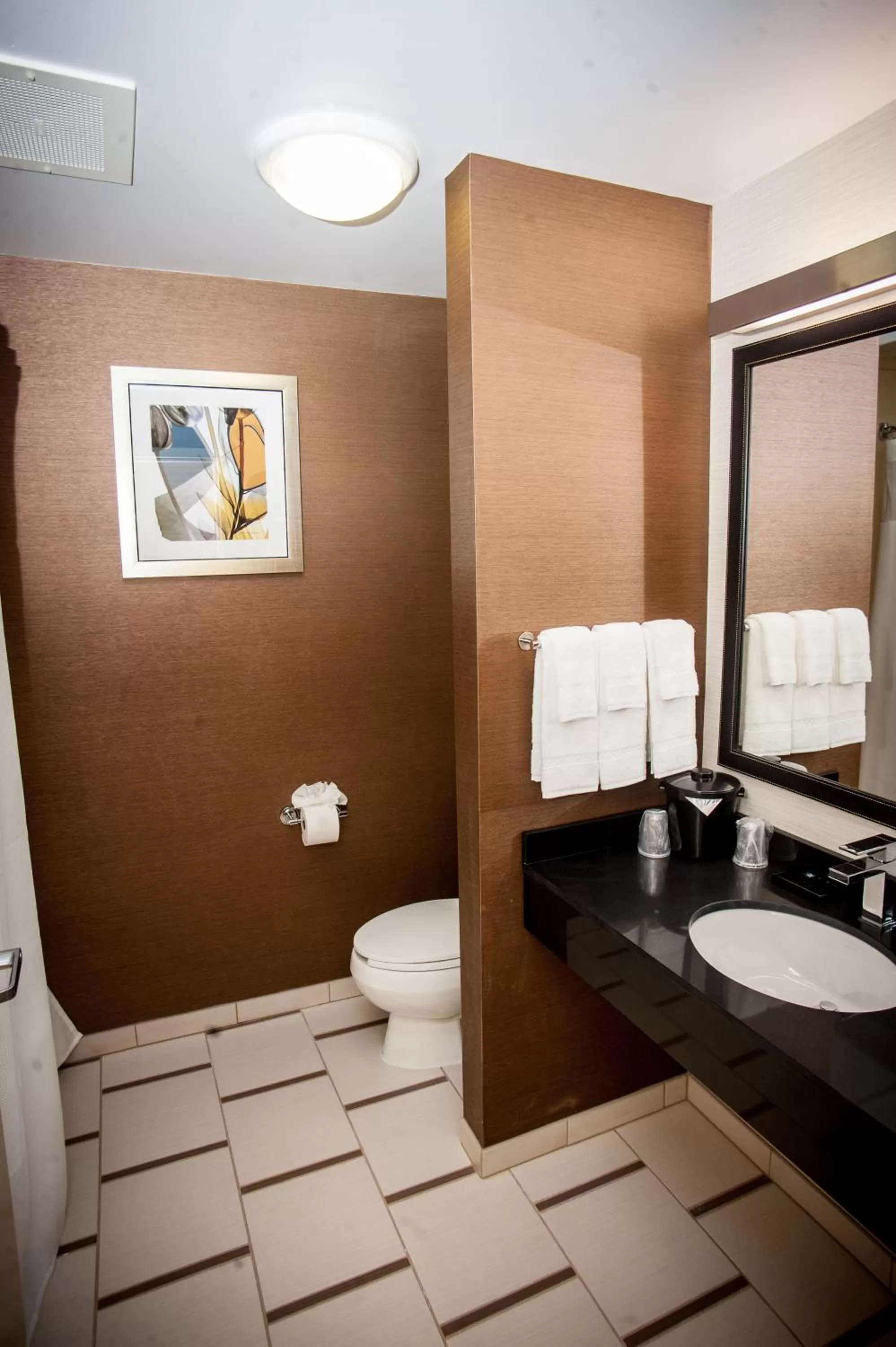 King Suite - Non Smoking in Comfort Inn & Suites South Akron