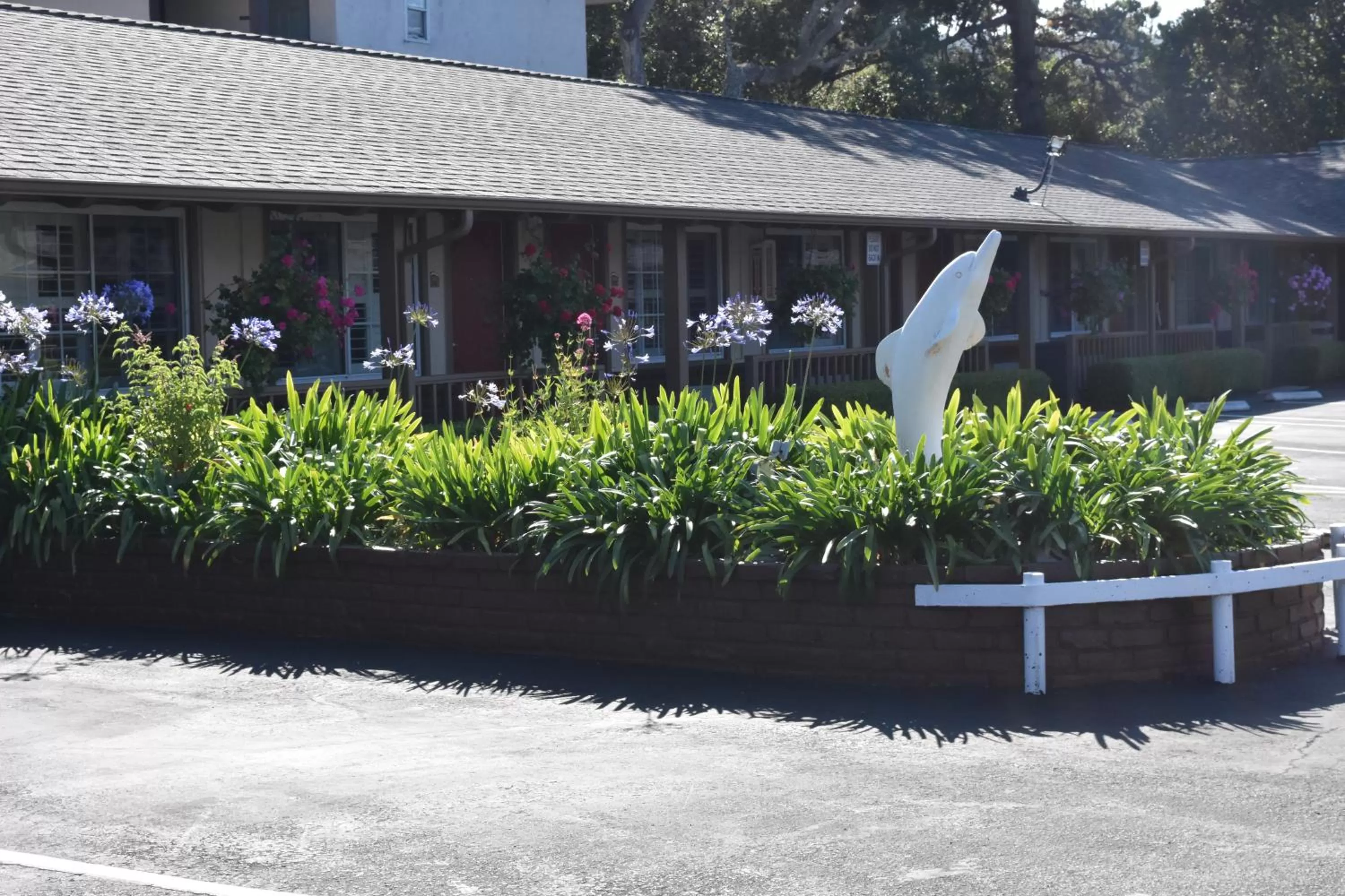 Property building in Padre Oaks