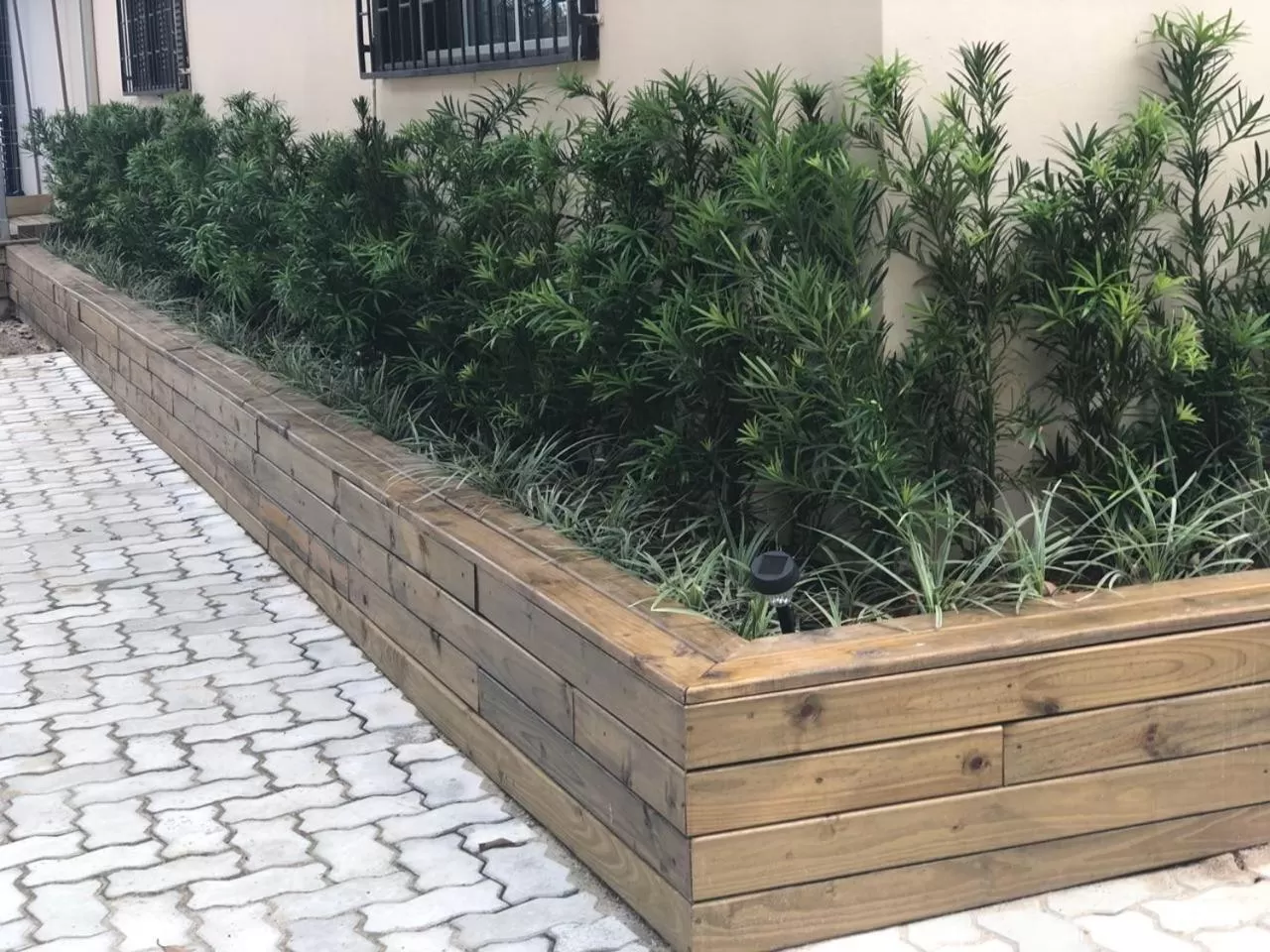 Garden in Pousada Ondas de Floripa