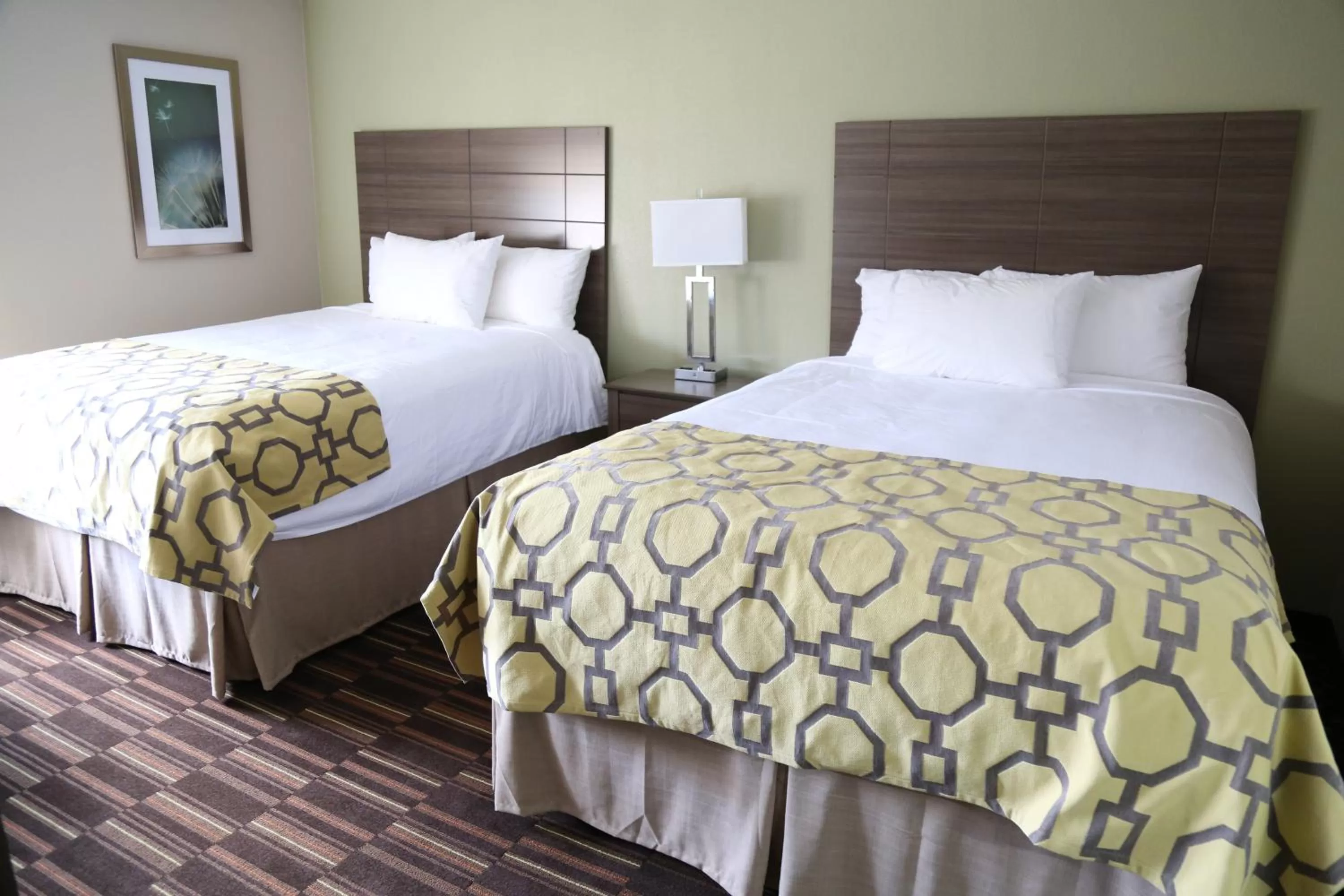 Bed in Baymont by Wyndham Plano