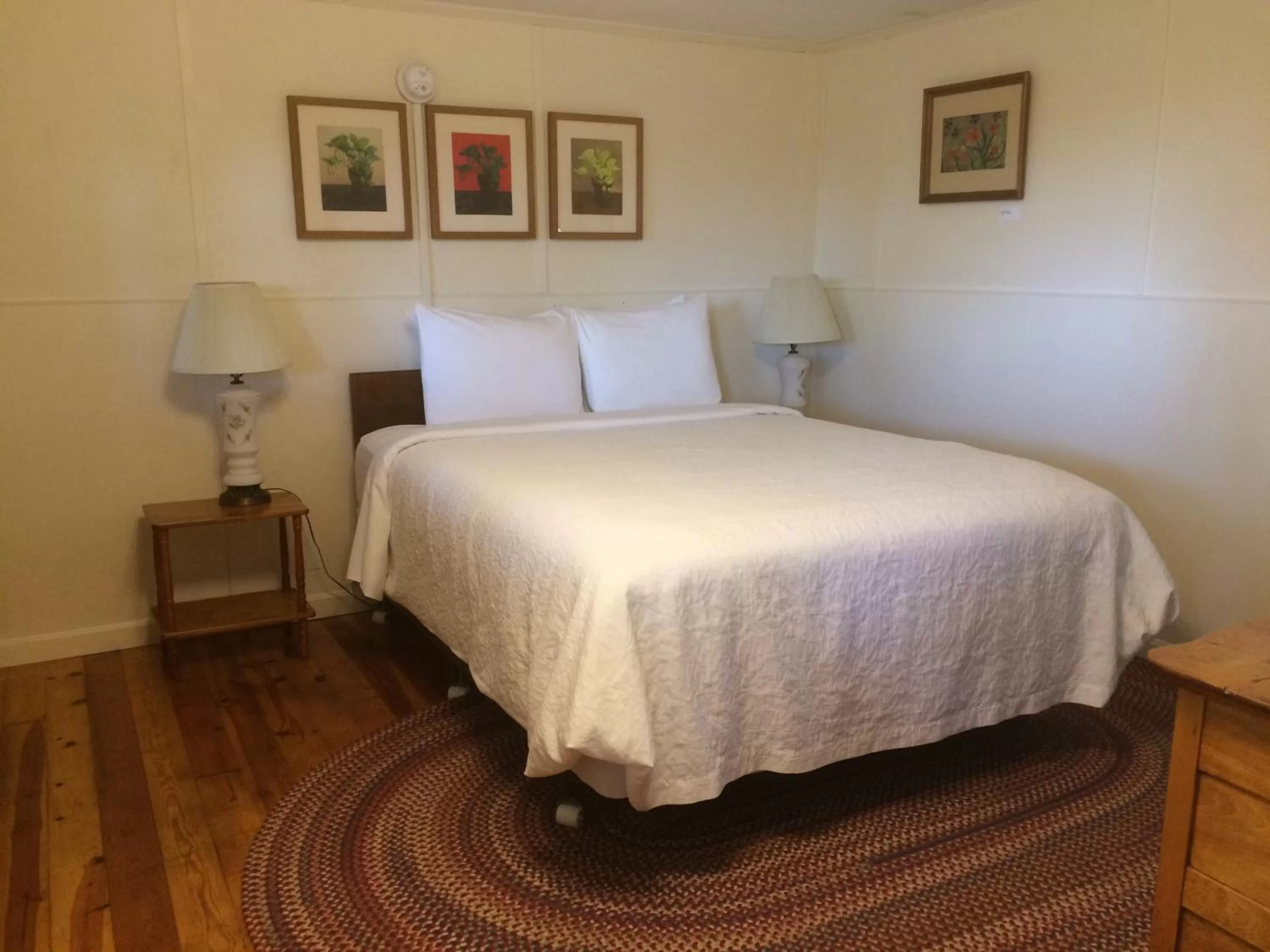 Bed in Harwood Hill Motel