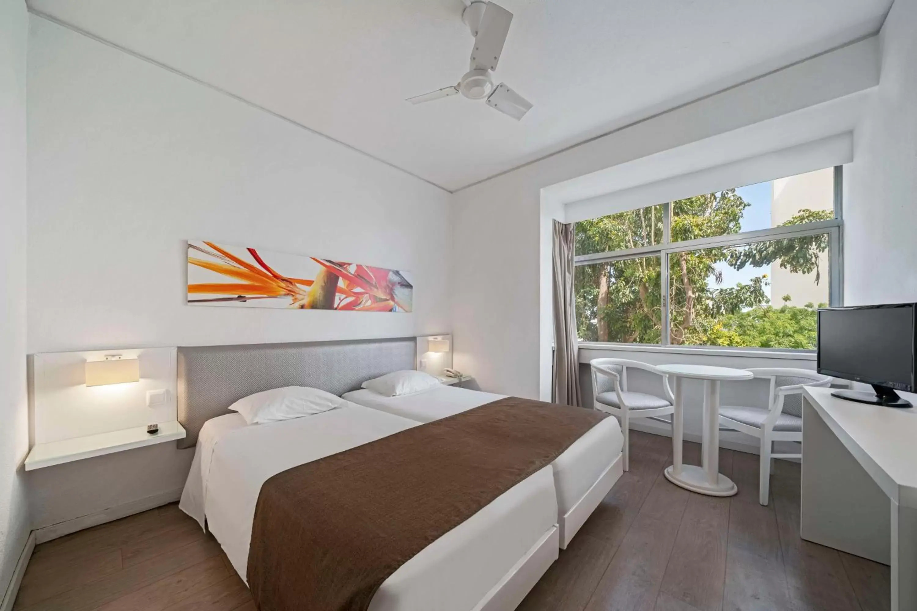 Double Room in Estrelicia Hotel Double Room in Estrelicia Hotel