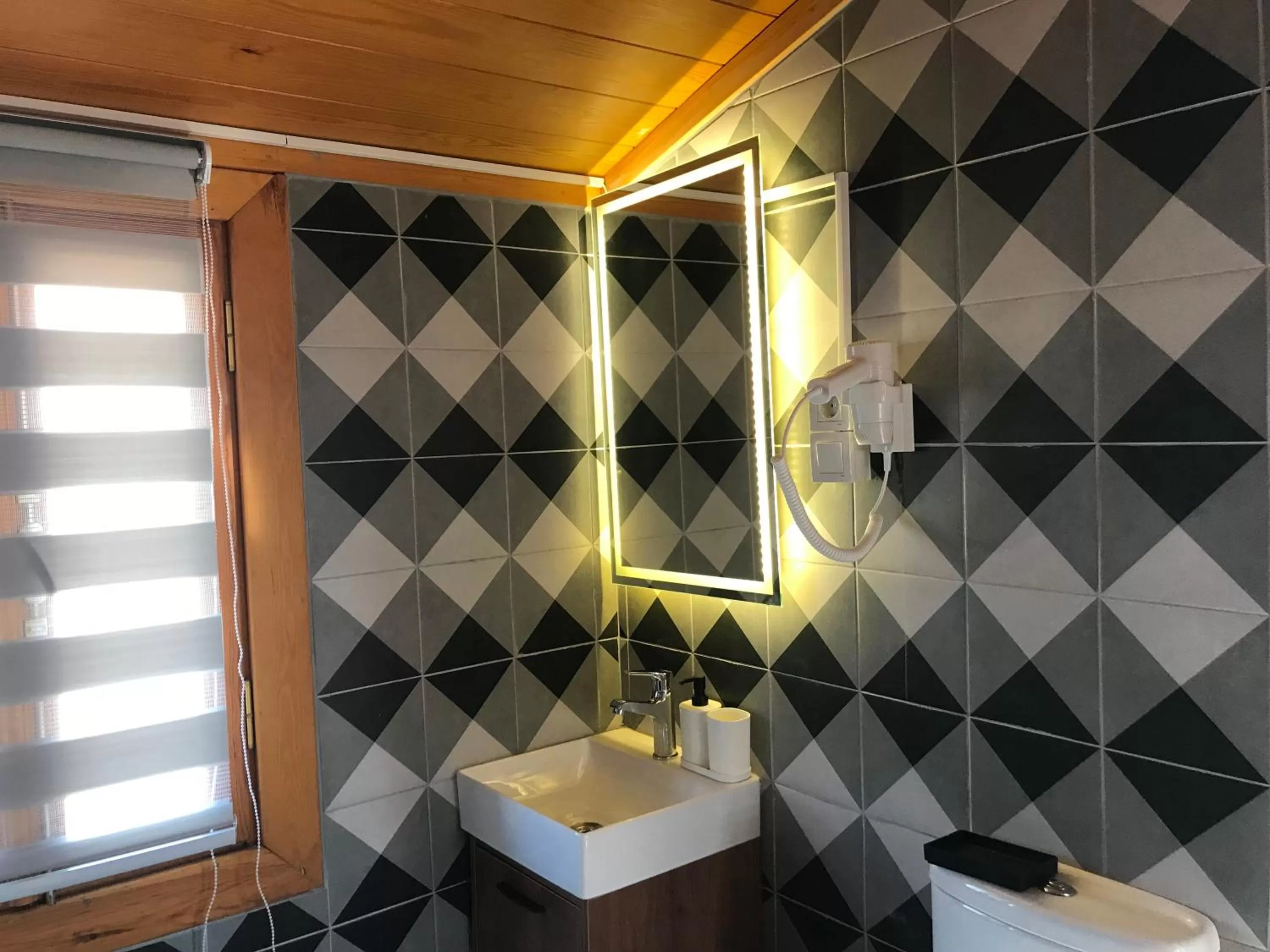 Bathroom in Green Mansion