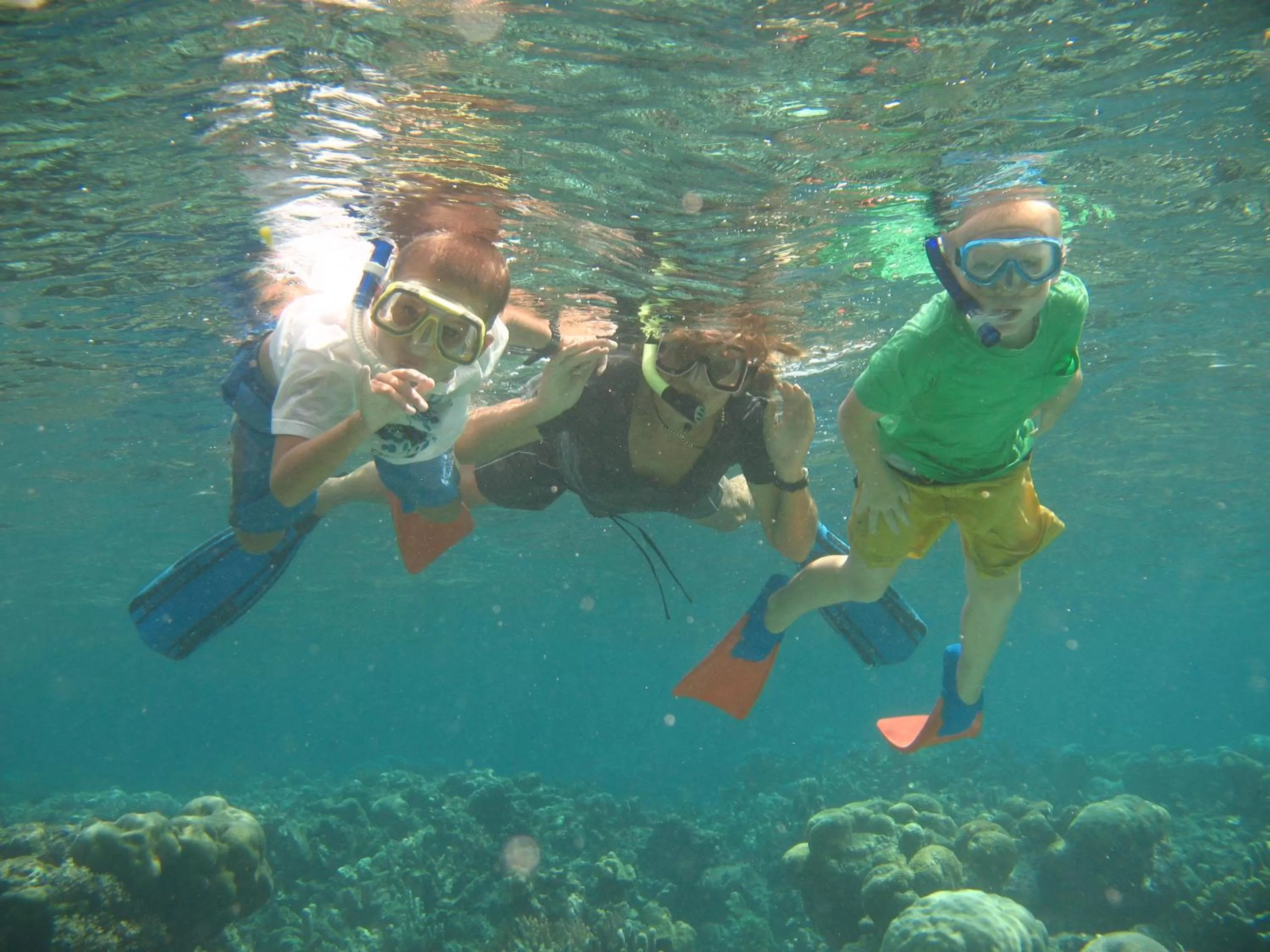 Snorkeling, Snorkeling/Diving in Paradise Cove Resort