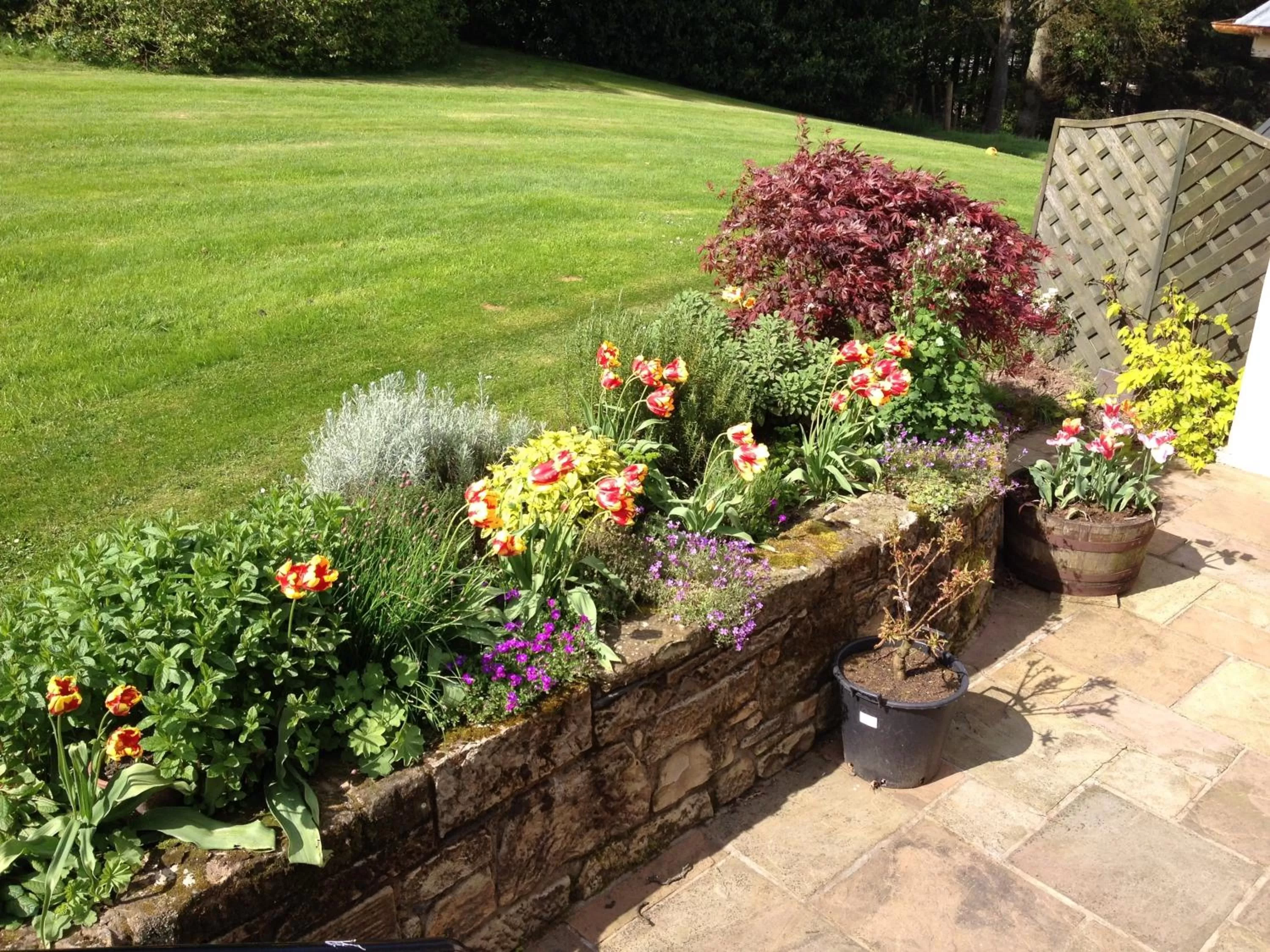 Garden view in West Plean House