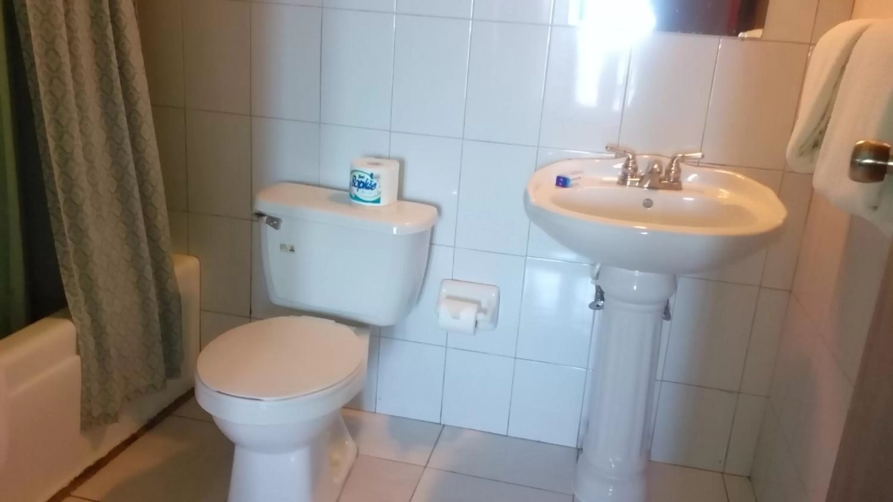 Toilet in Caribic House