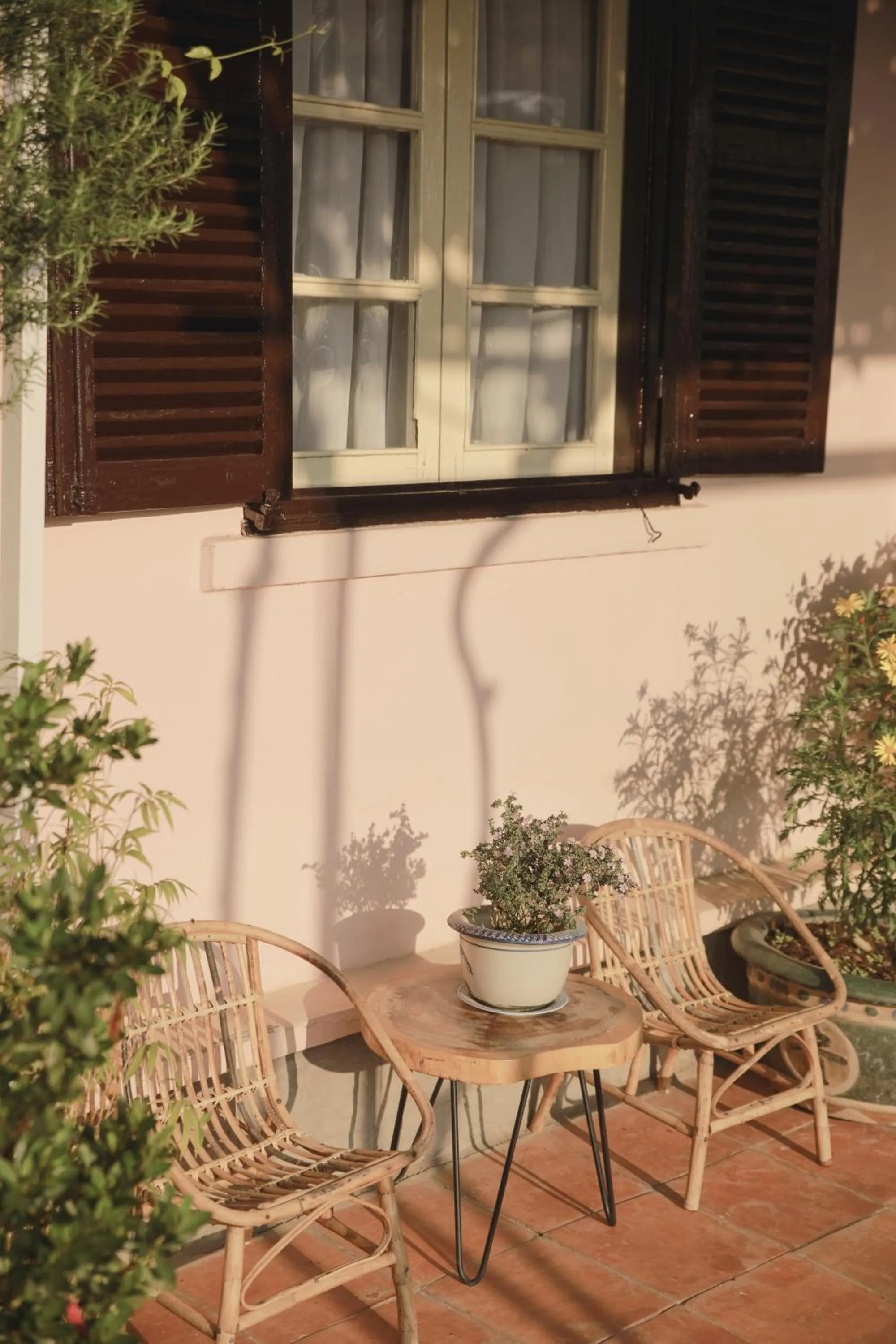 Dalat Terrasse Des Roses Villa