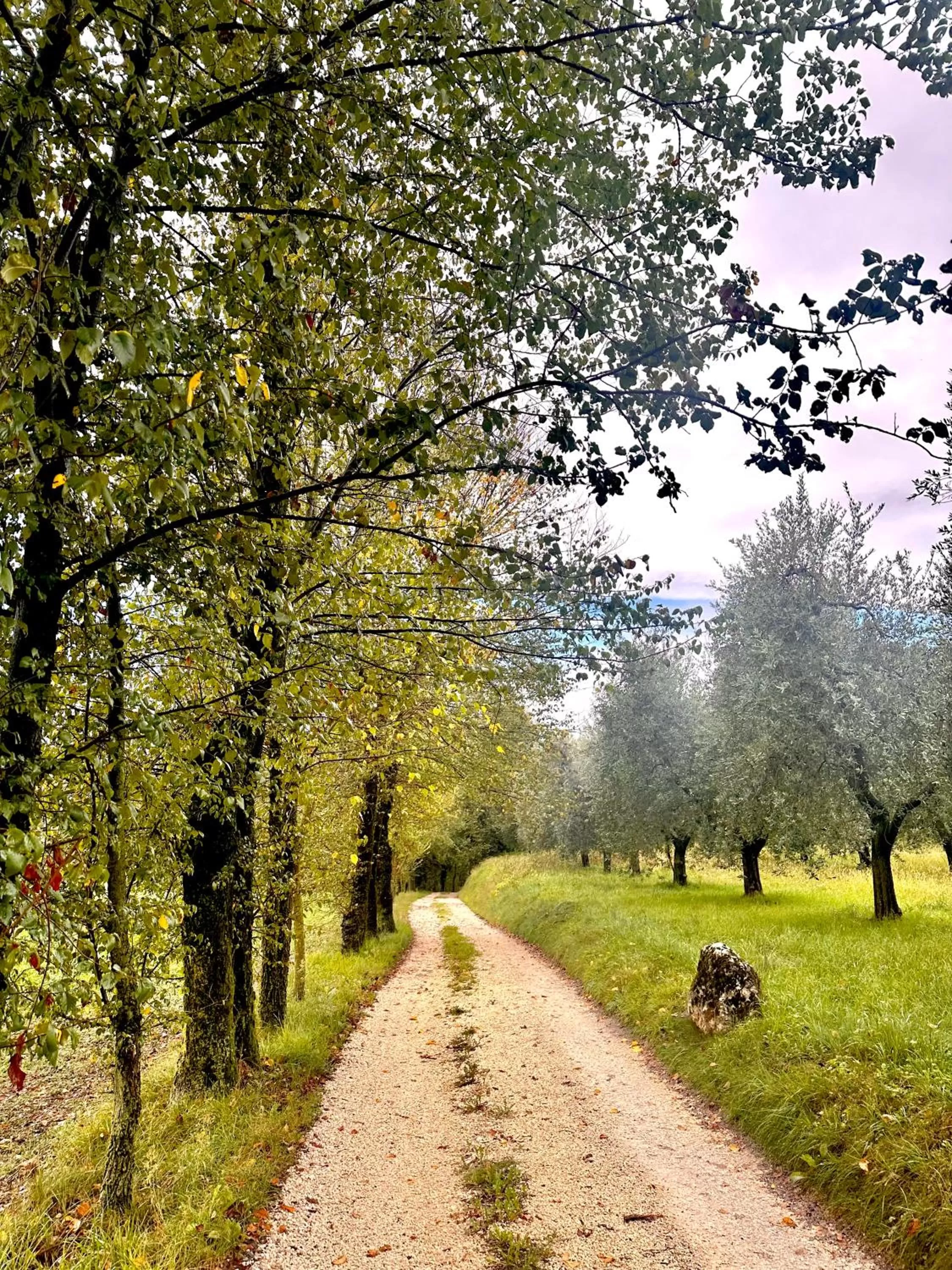 Garden in B&B Sovenigo