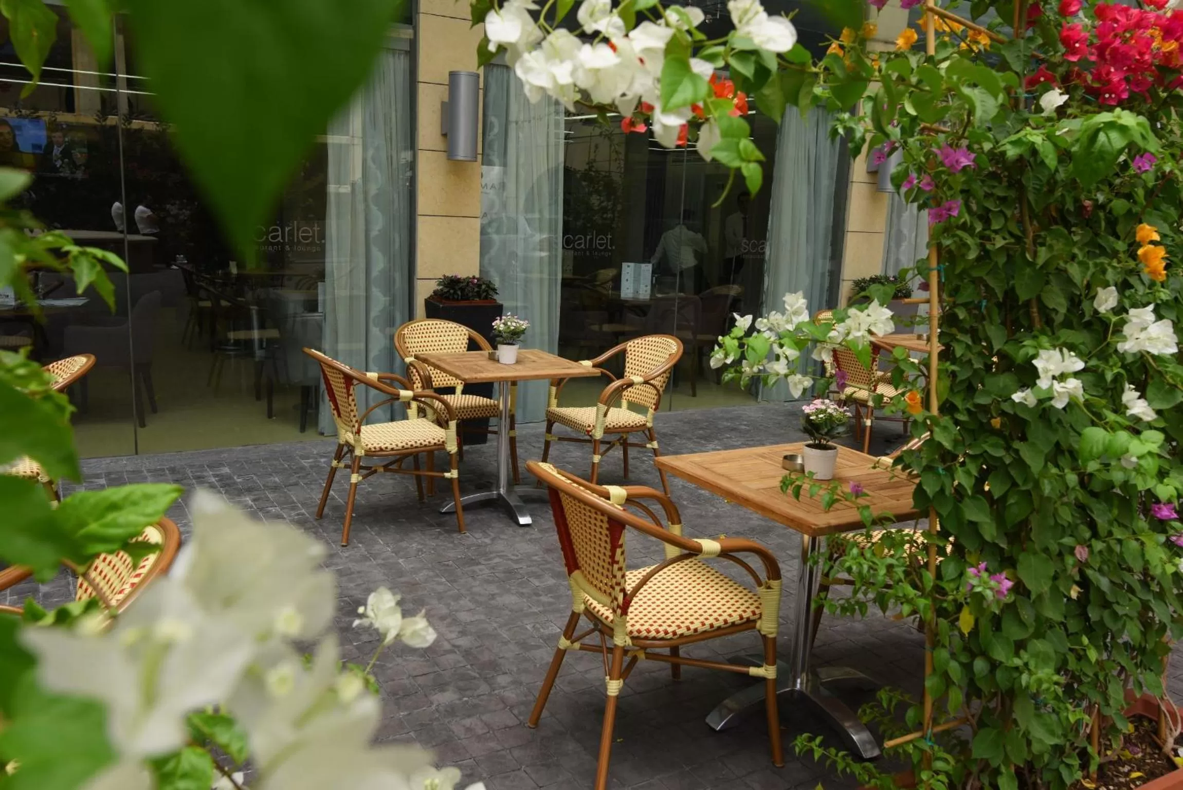 Garden in Ramada by Wyndham Downtown Beirut