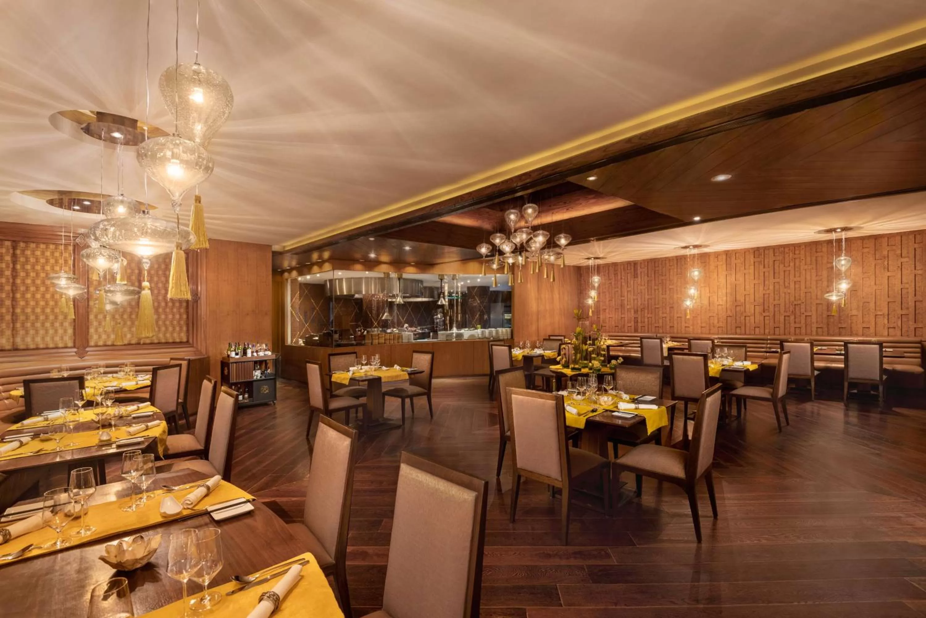 Restaurant/places to eat in Radisson Blu Plaza Delhi Airport