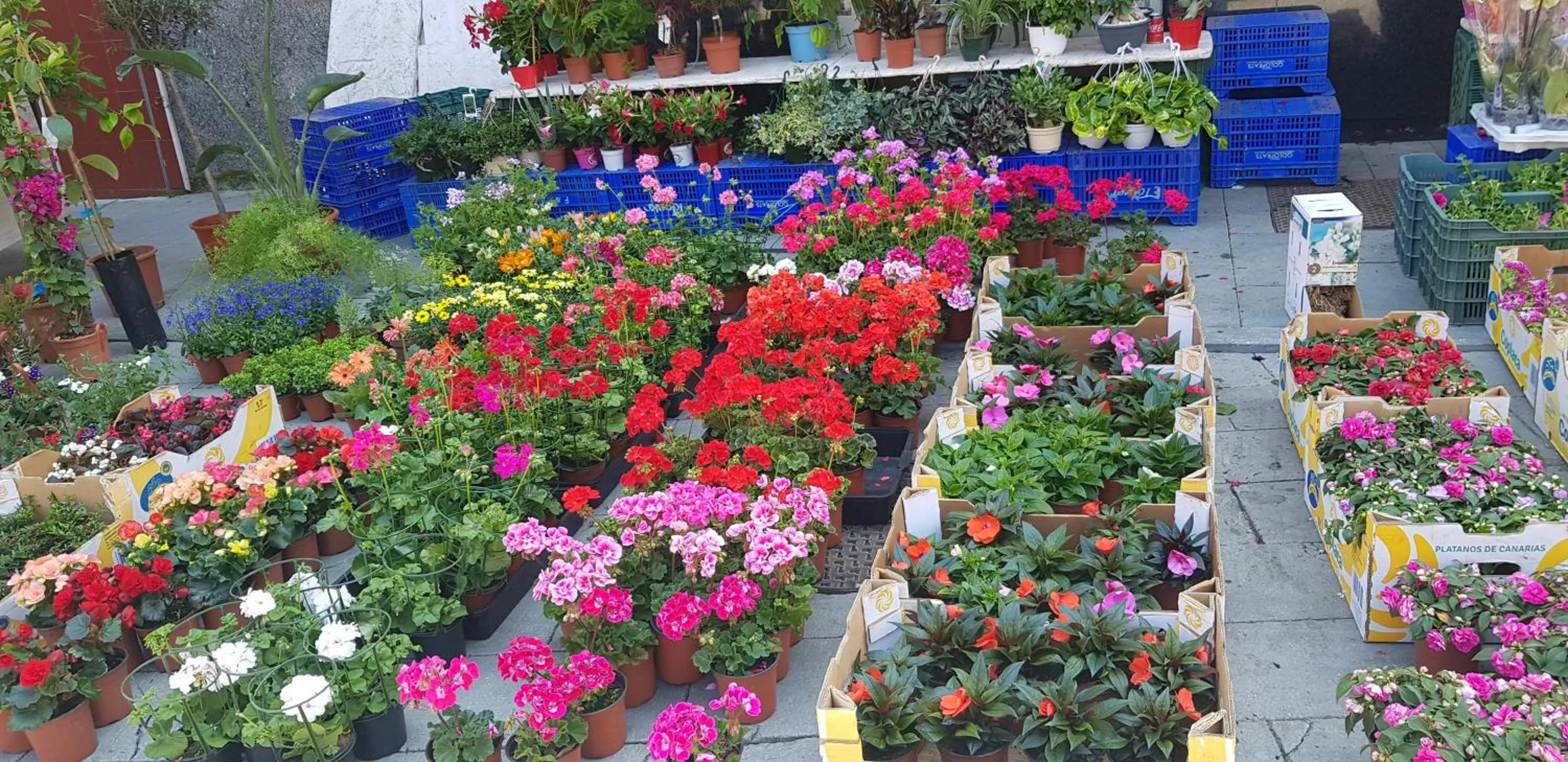 Summer in Gran Hotel Paraiso