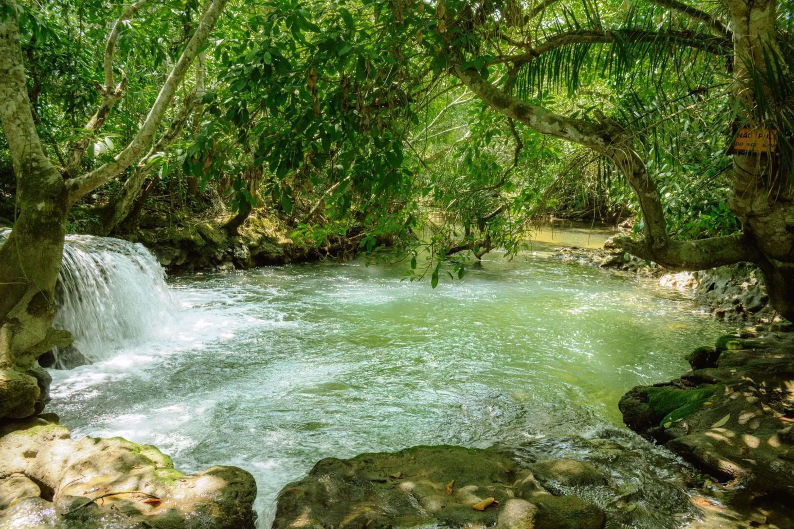 Natural landscape in Hotel Santa Esmeralda