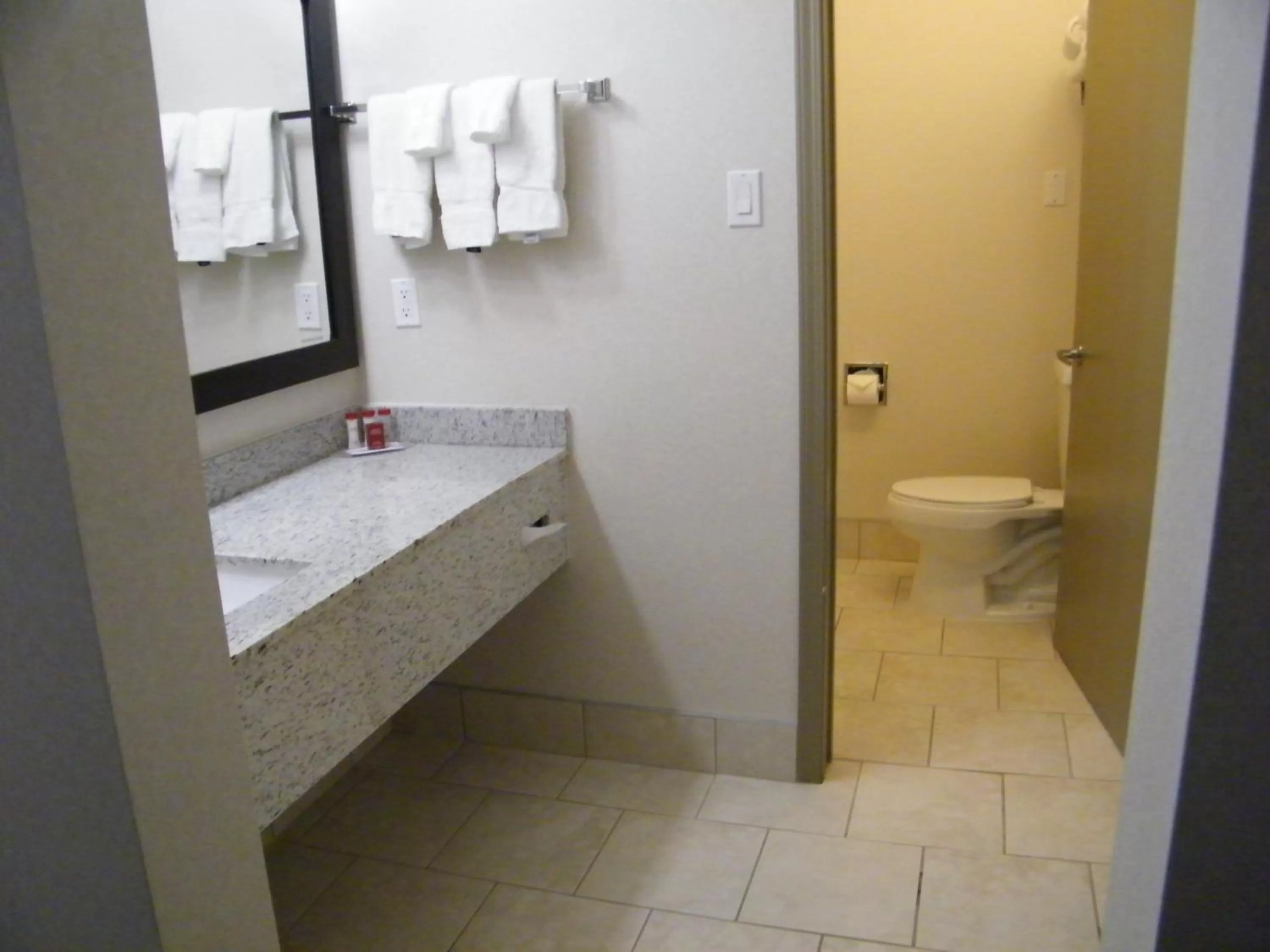 Bathroom in Ramada by Wyndham Edmonton South