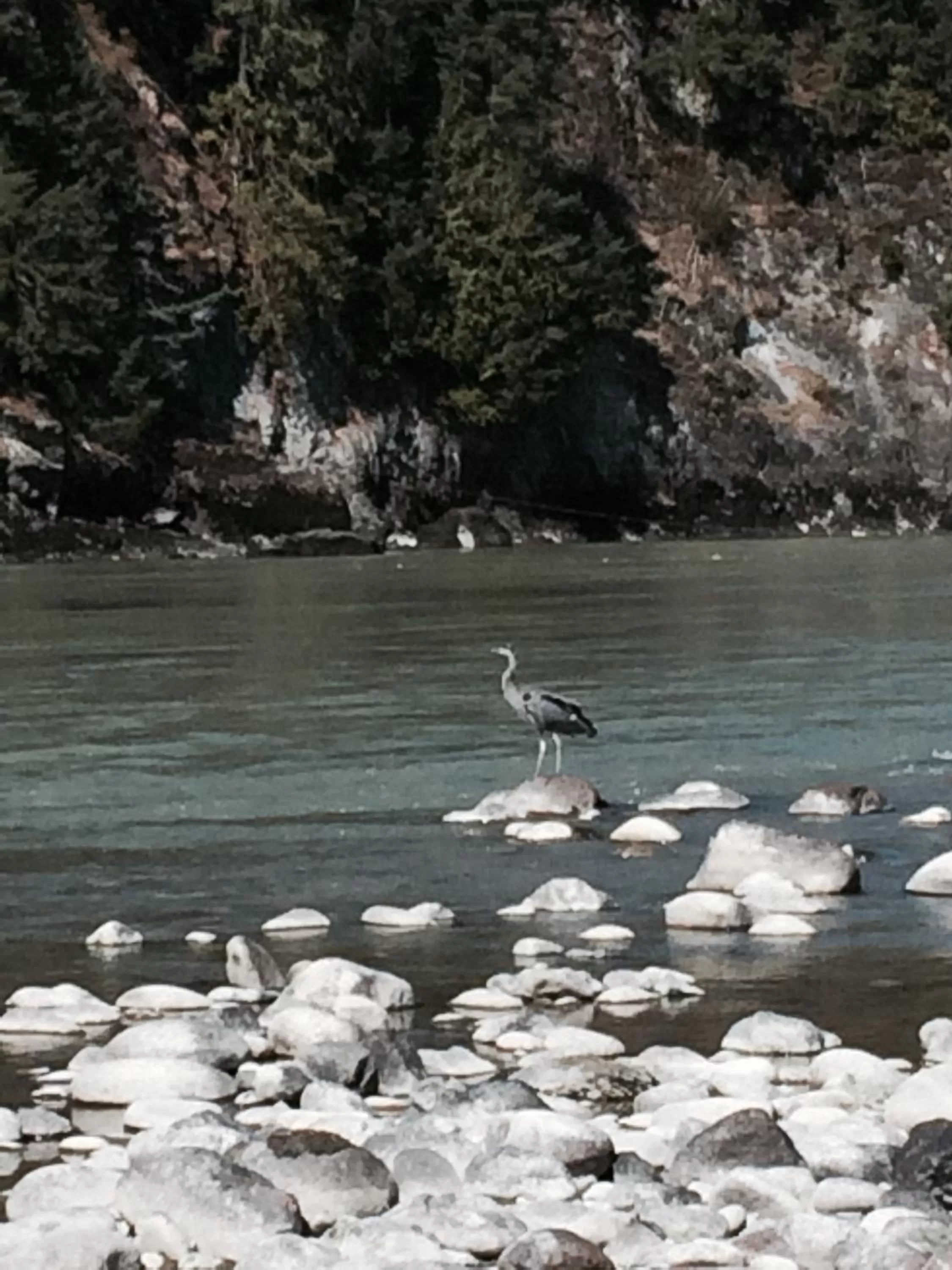 Fishing in Evergreen Bed & Breakfast