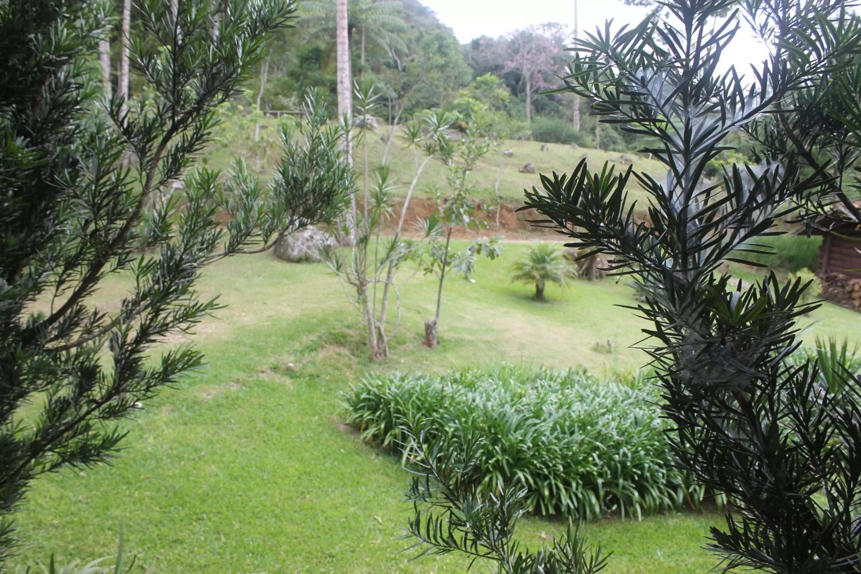 Garden in Pousada Mariza
