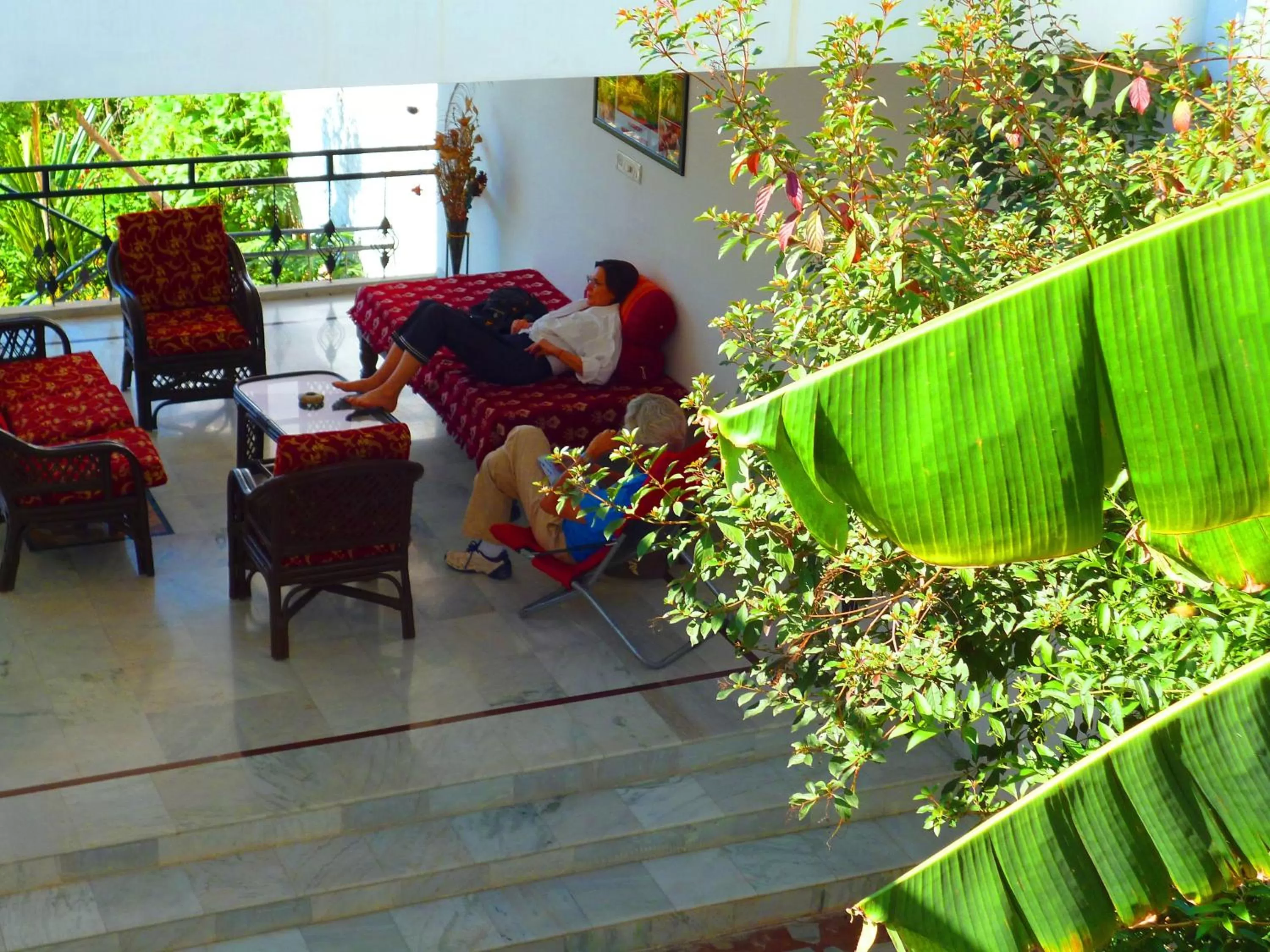 Guests in Hotel Harmony