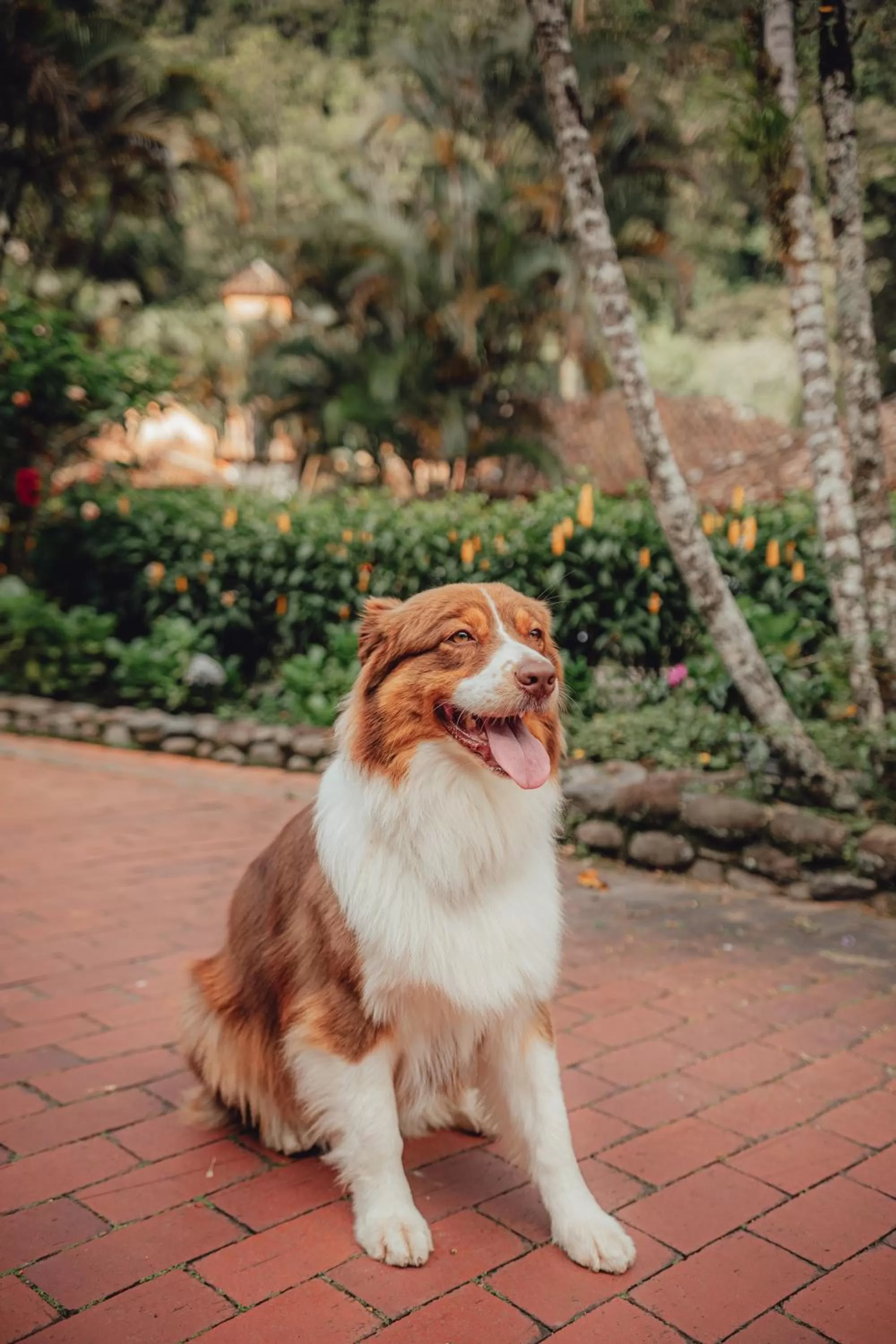 Animals in Valle Escondido Resort