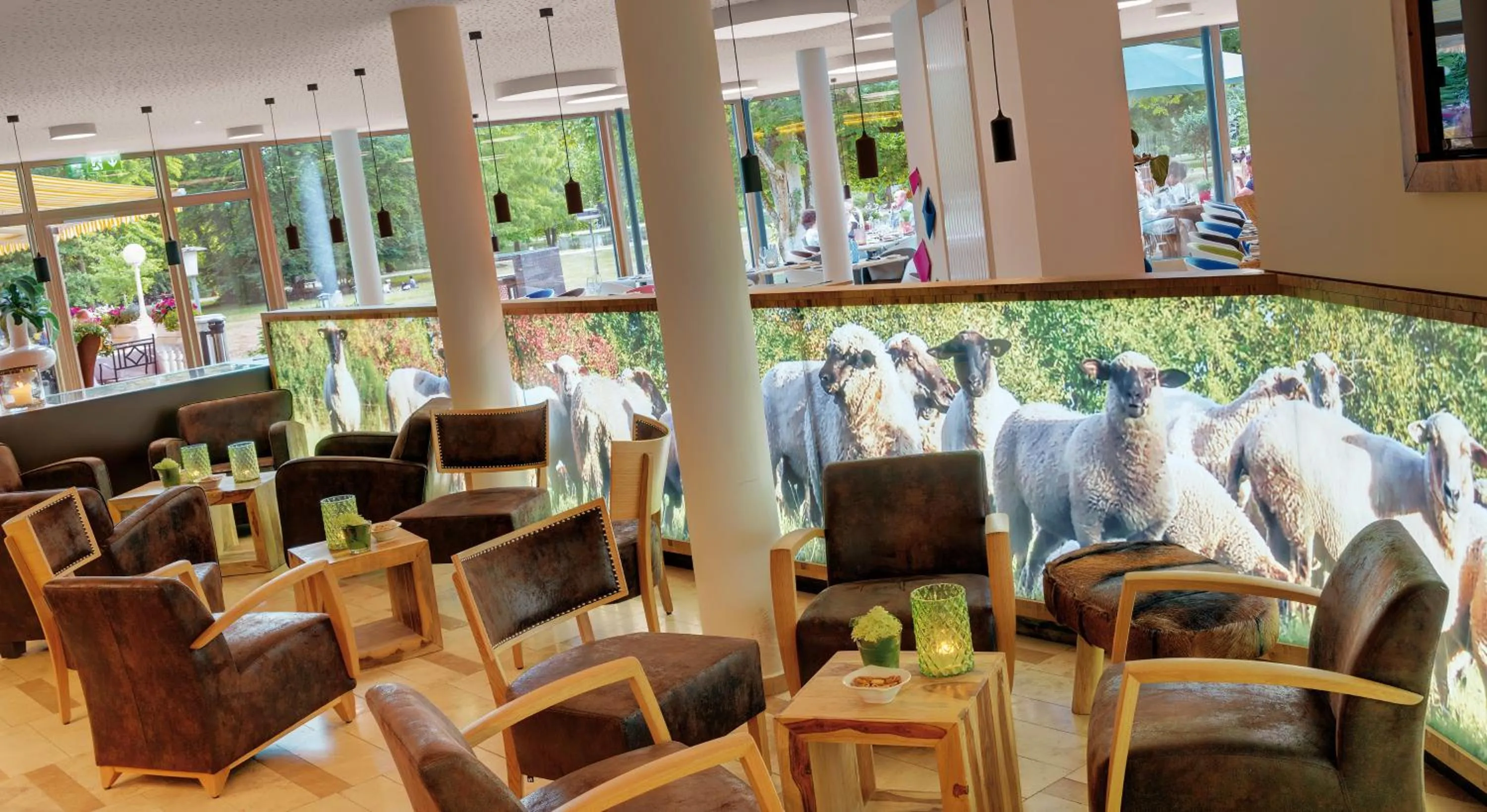 Restaurant/places to eat in Nells Park Hotel