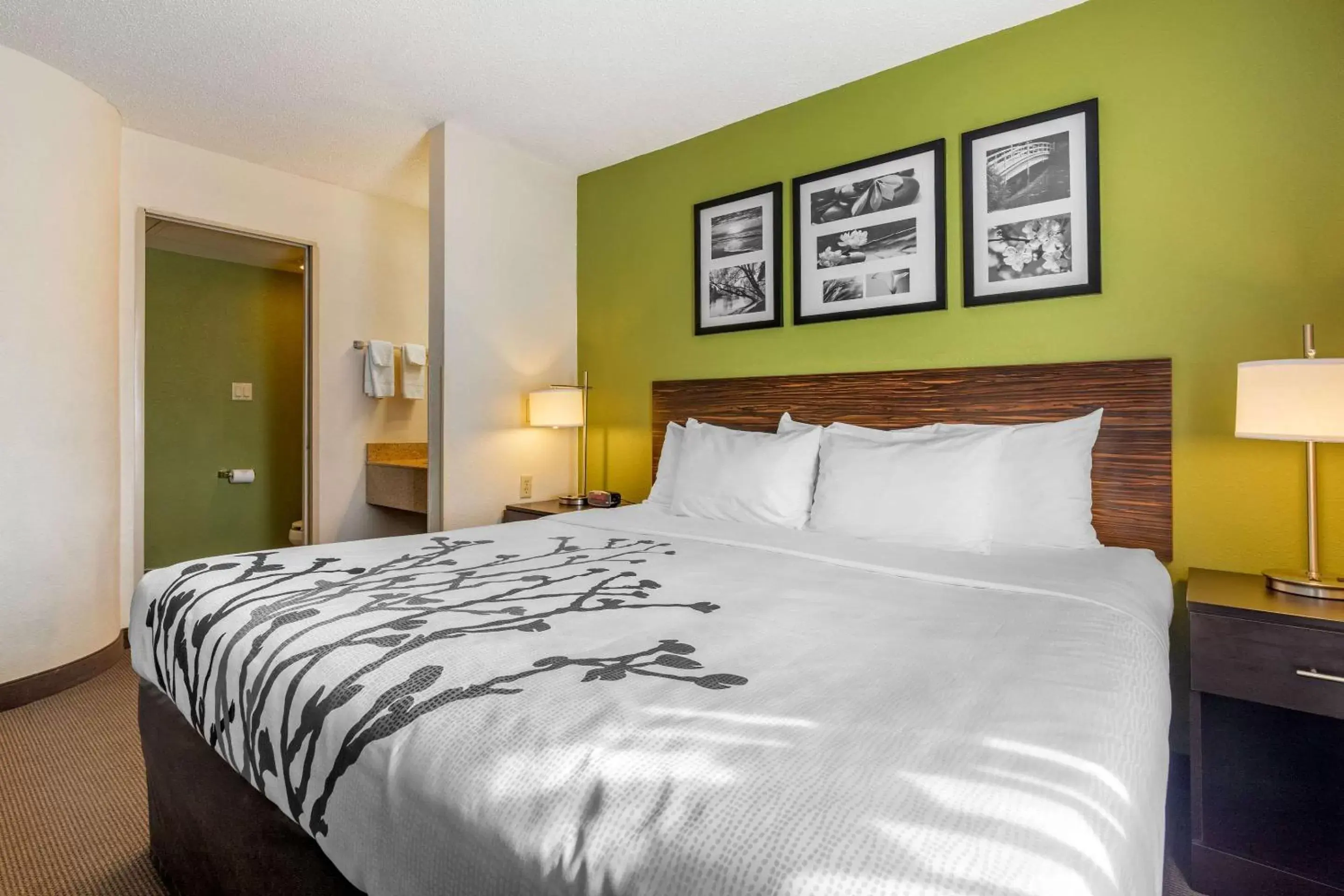 King Room - Non-Smoking in Sleep Inn I-95 North Savannah King Room - Non-Smoking in Sleep Inn I-95 North Savannah