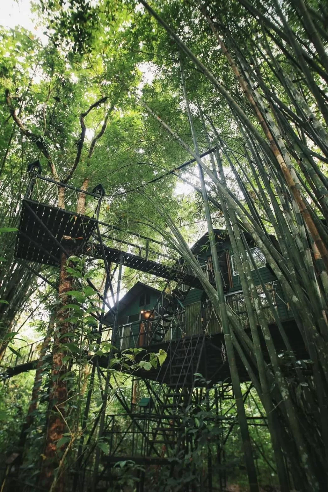 Natural landscape in Khao Sok Tree House Resort
