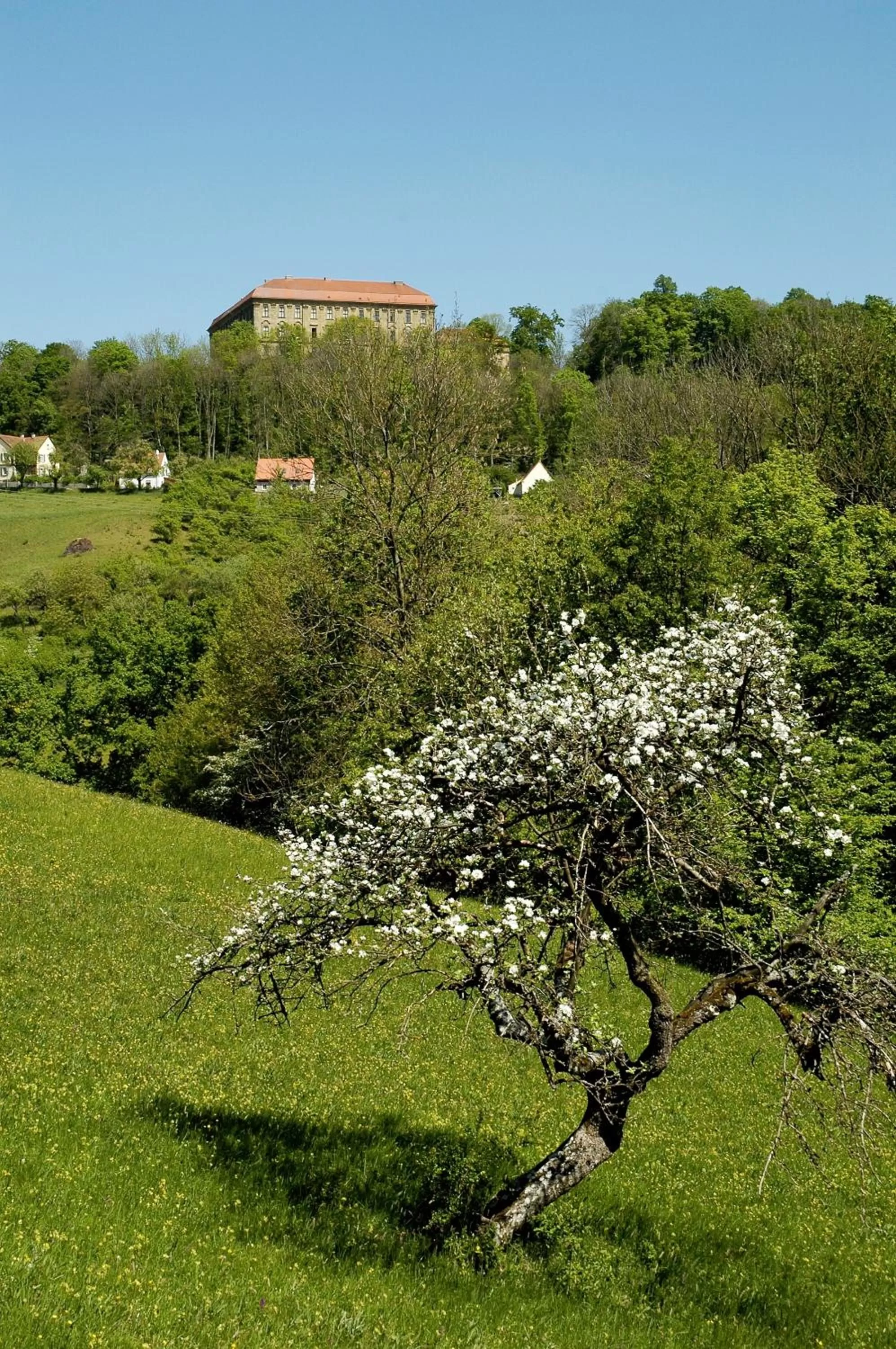 Natural landscape in Gasthof Adler