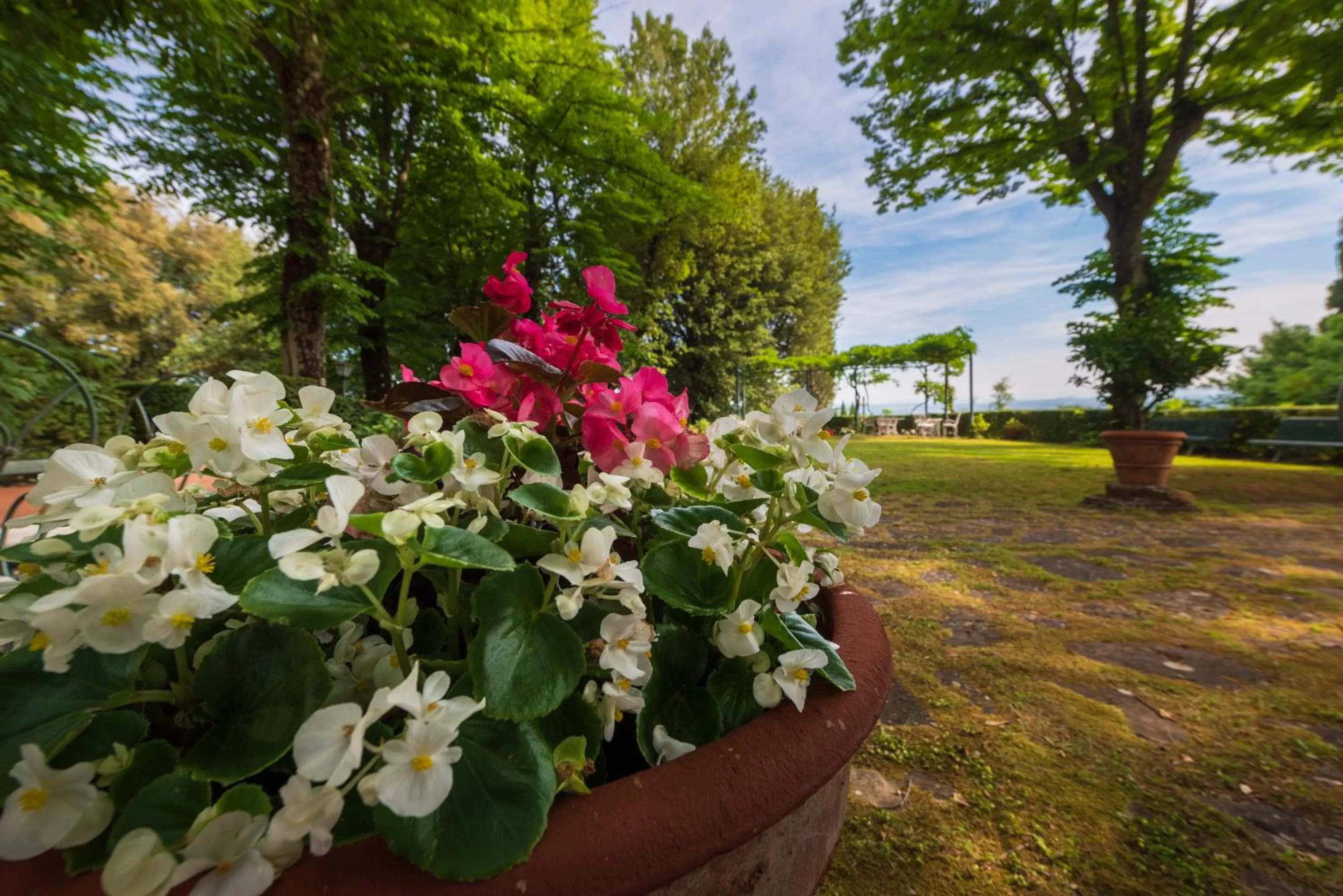 Garden in Villa Scacciapensieri Boutique Hotel