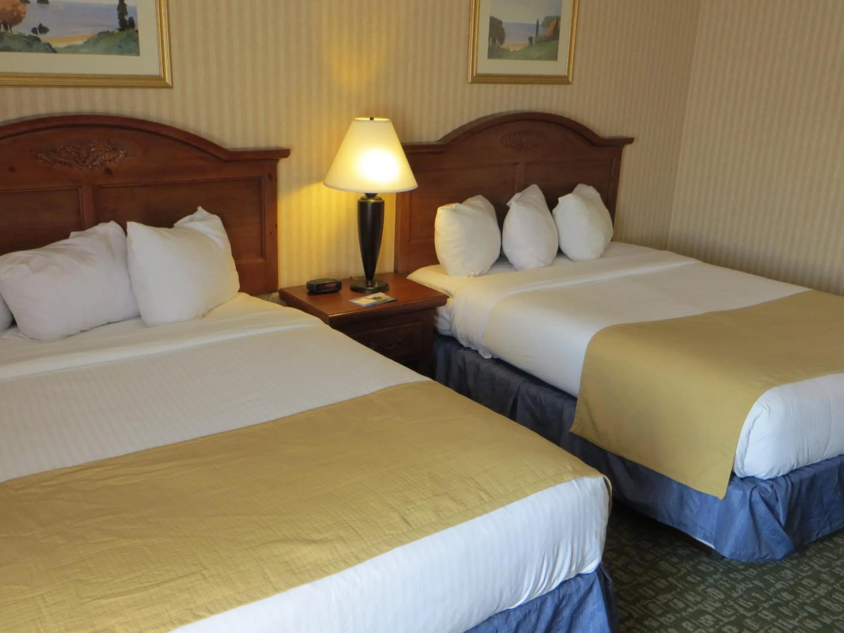 Bed in Baymont by Wyndham Kalamazoo West