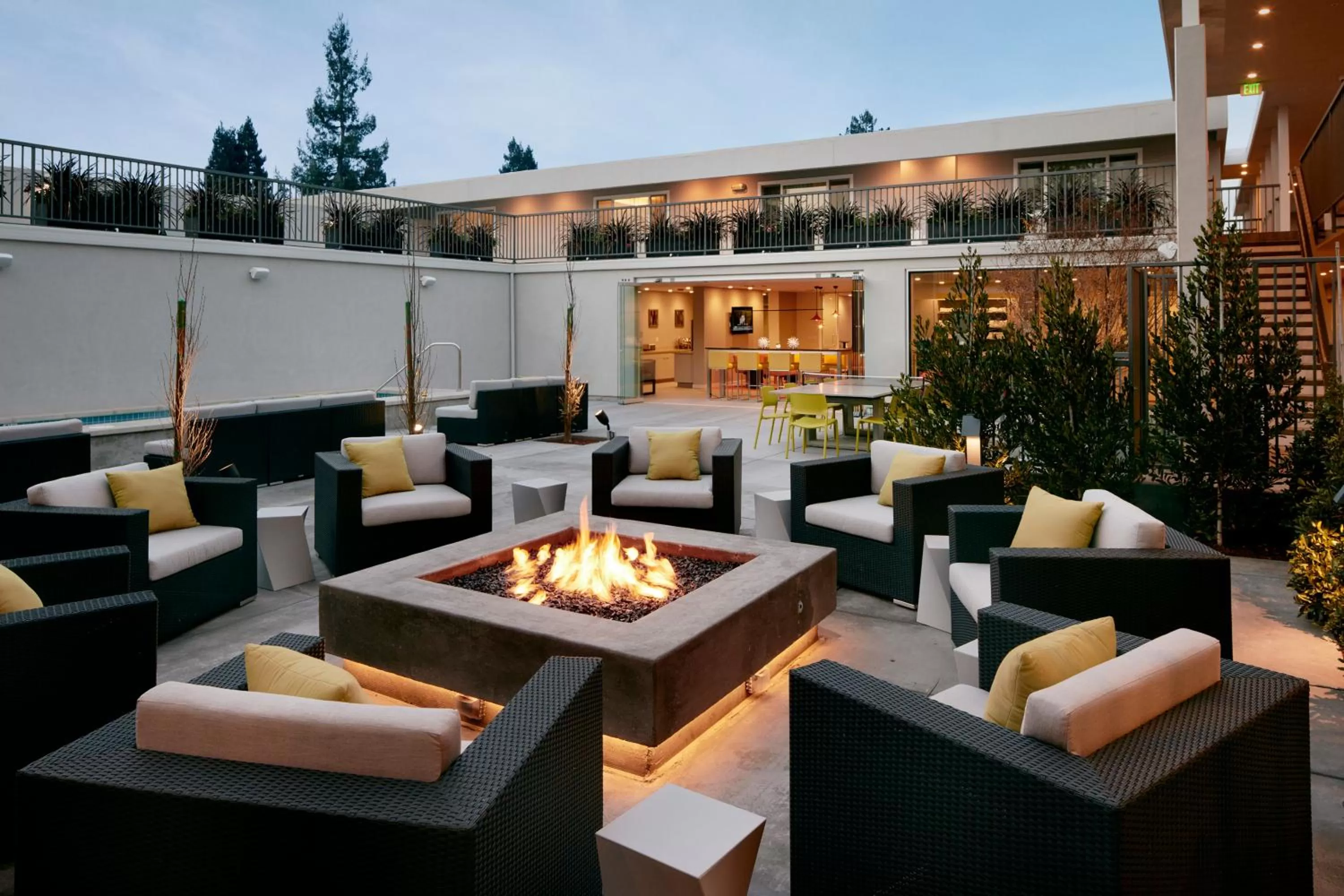 Garden in Hotel Lucent