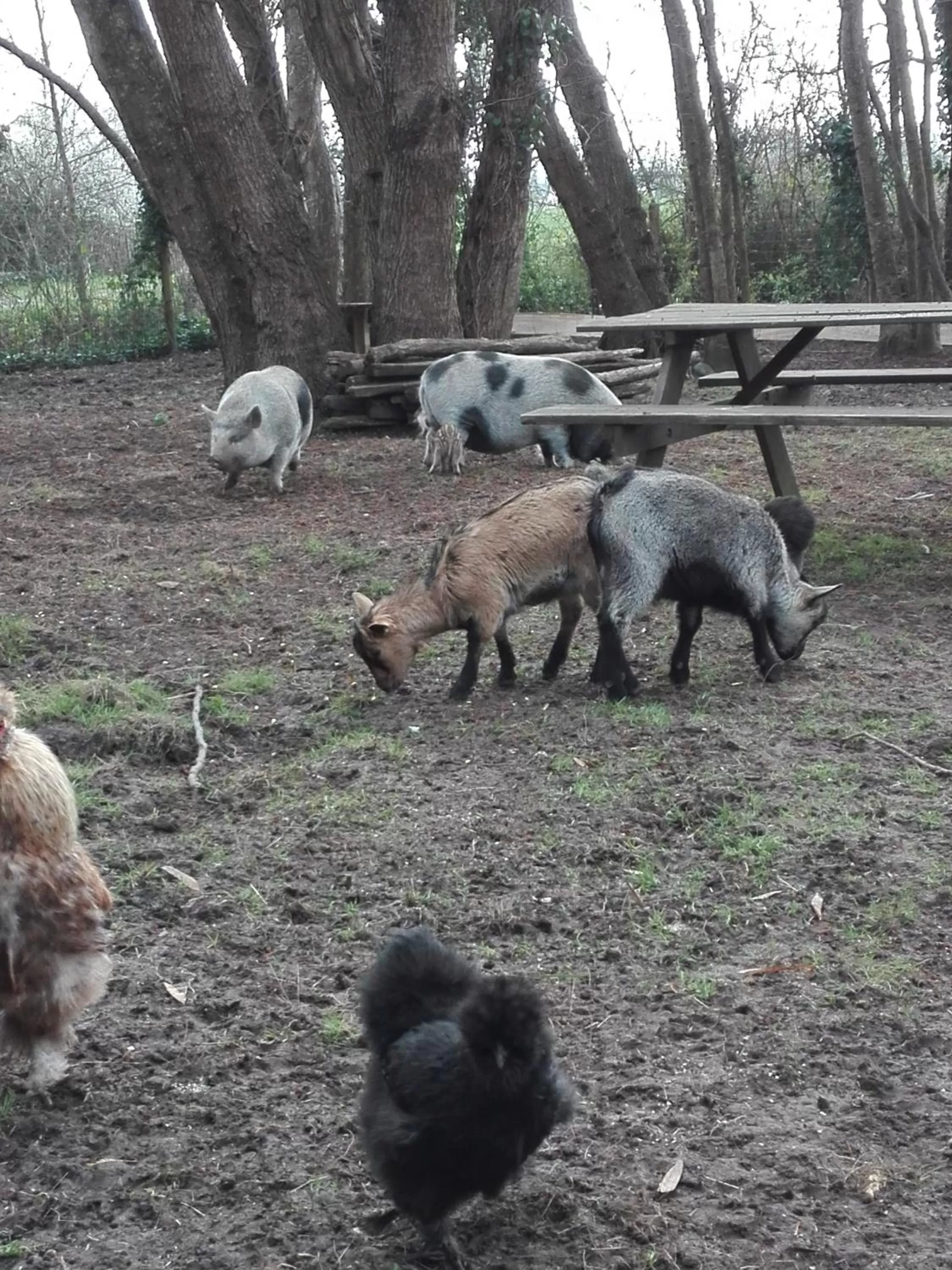 Property building in Jolysable