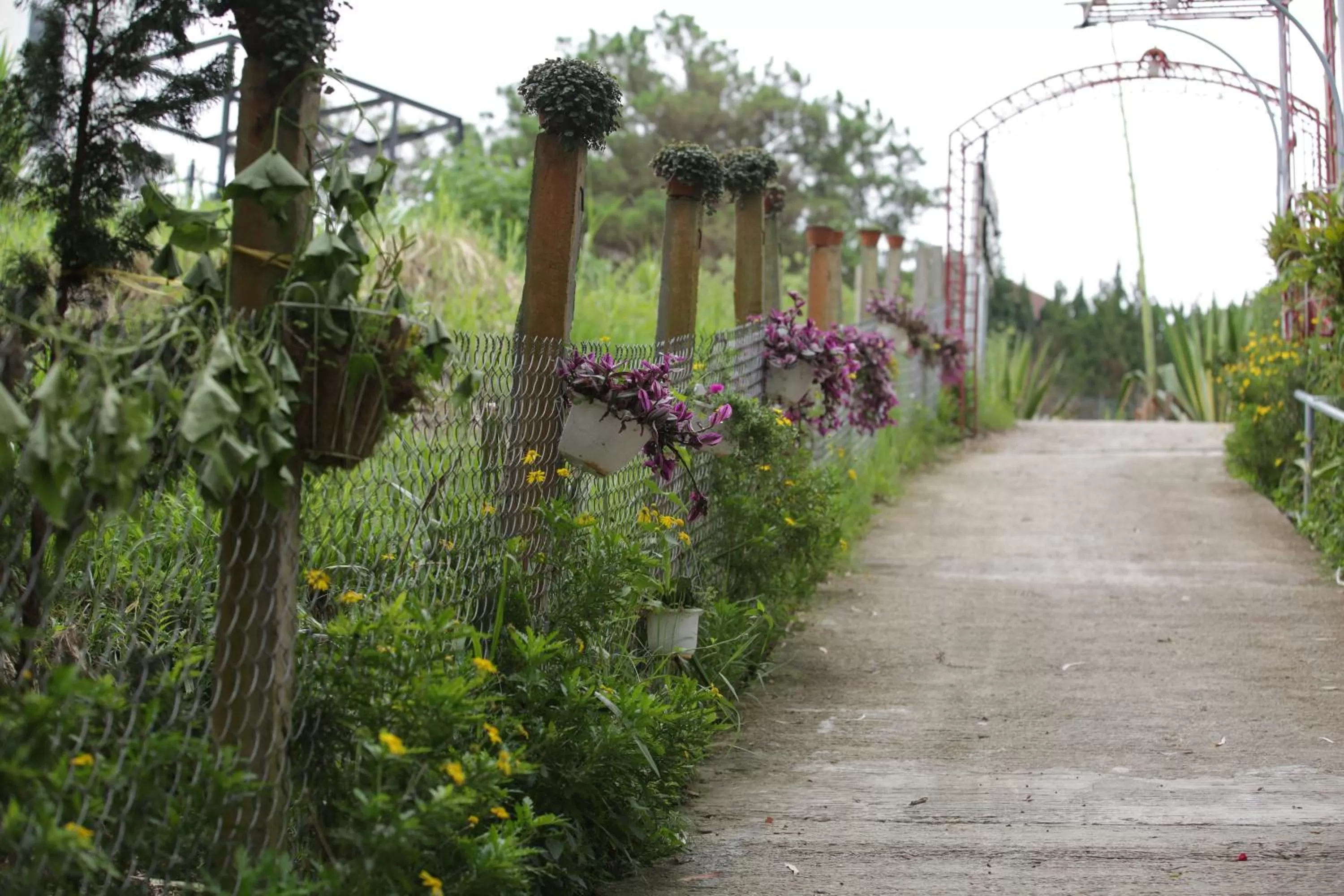 Garden view in Starview Villa Dalat