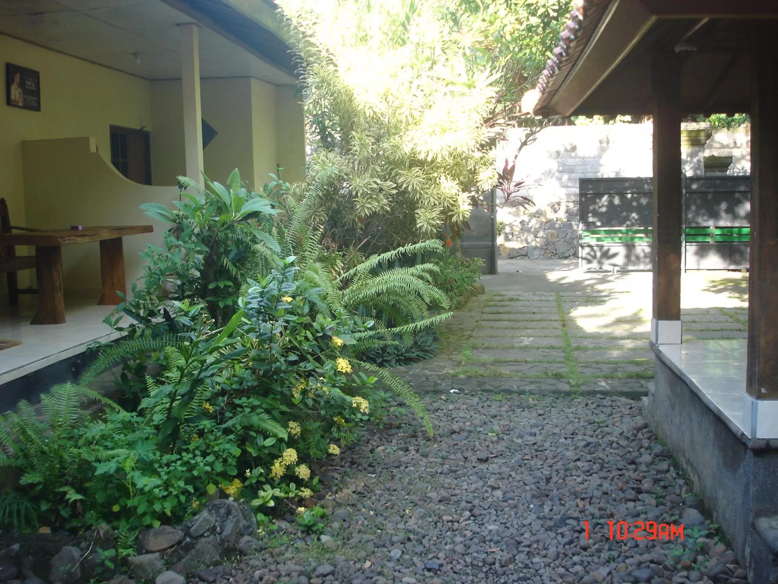 Garden in Penginapan Sedap Malam