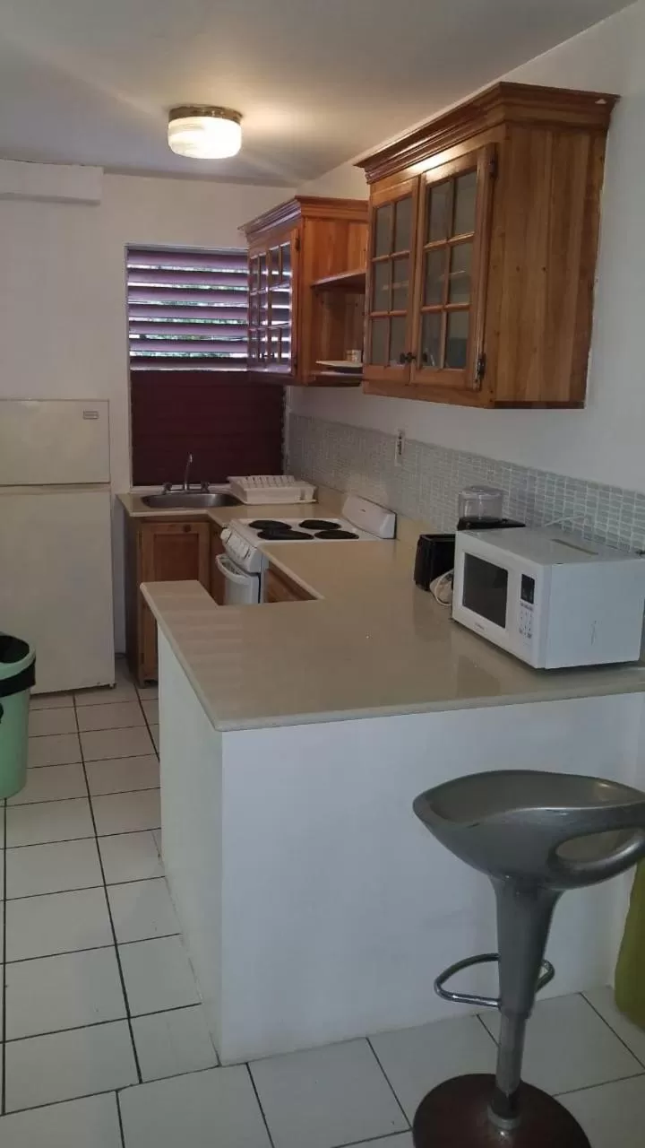 Negril Beach Club Condos