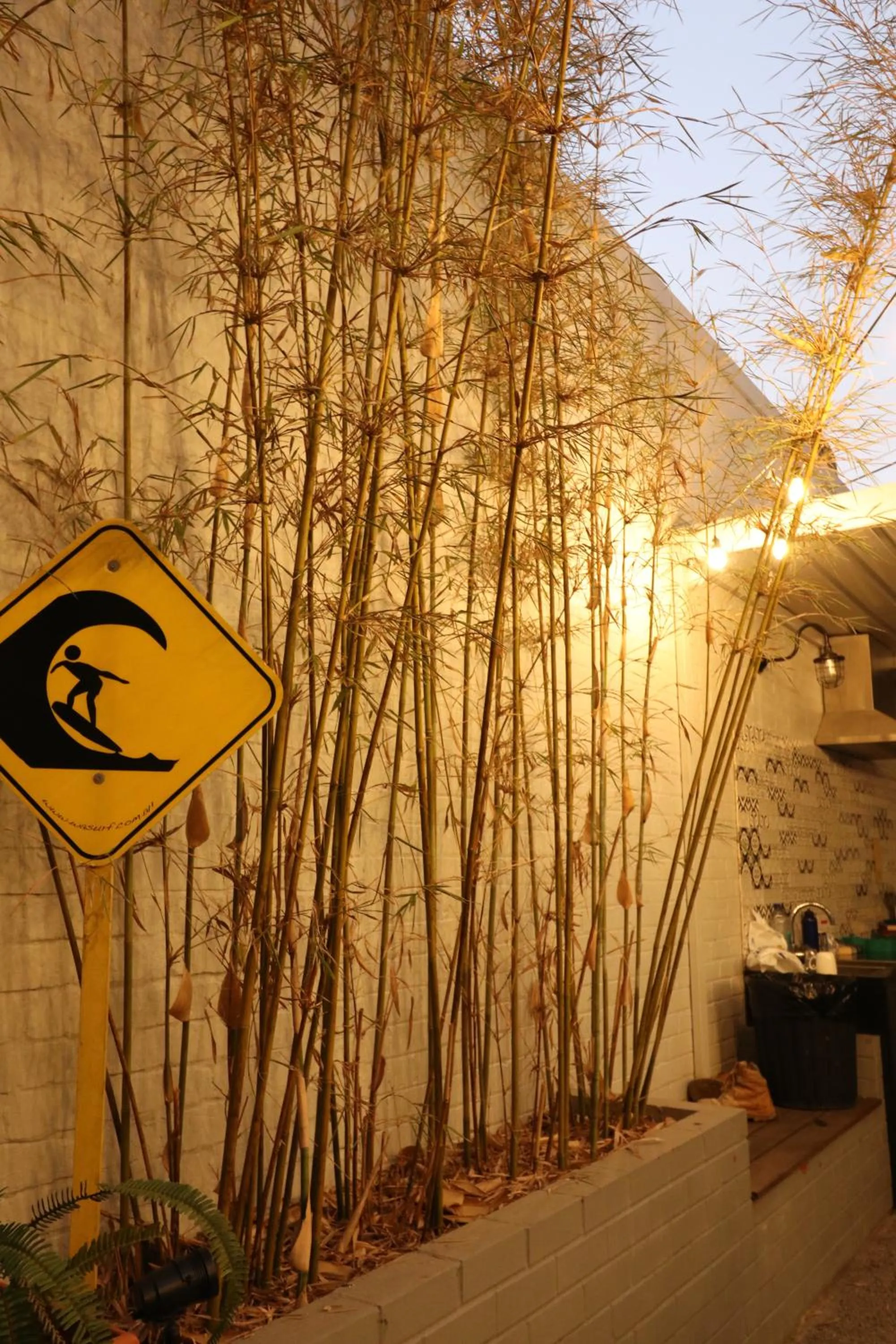 Britannia on William