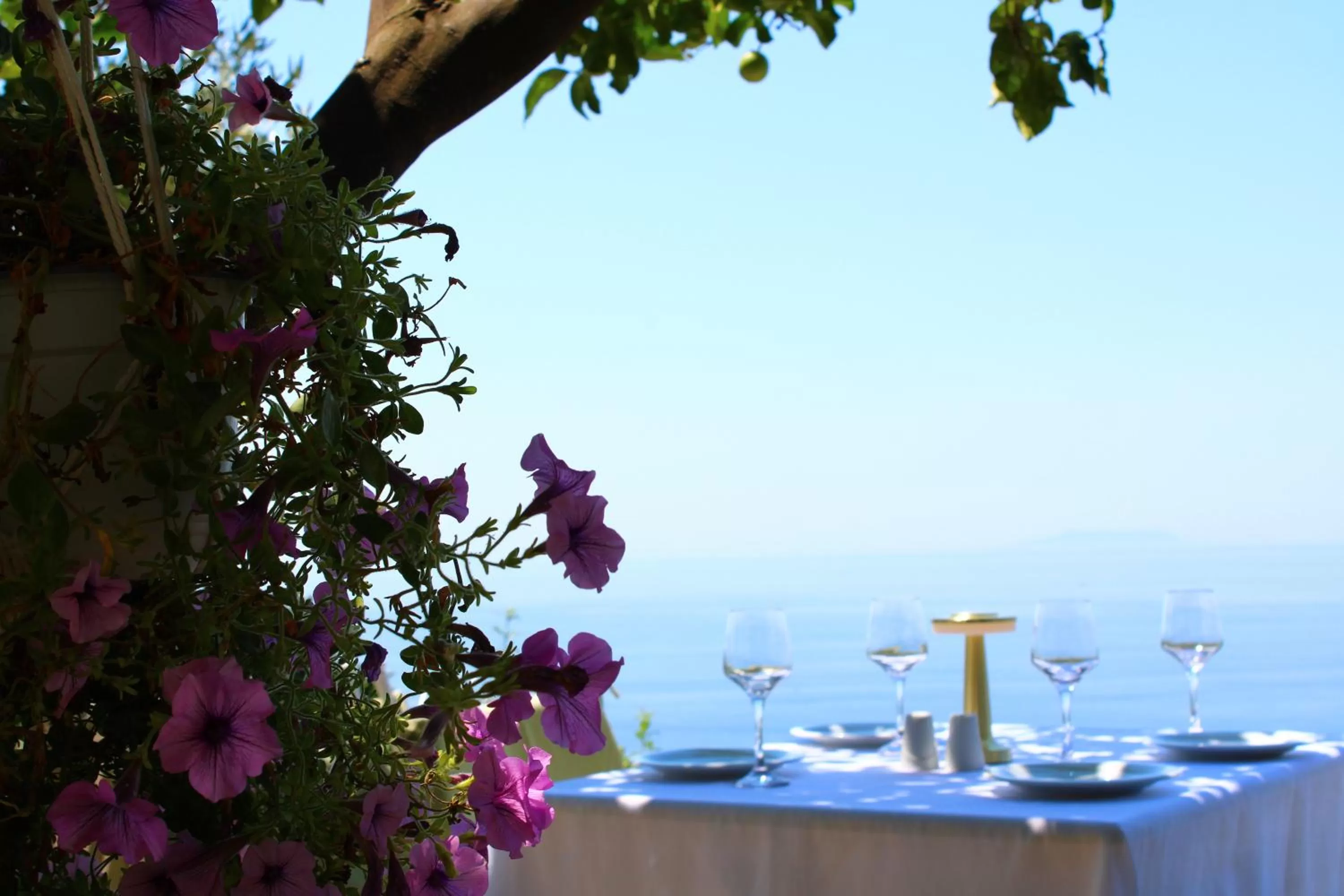 Natural landscape, Restaurant/Places to Eat in Aphrodite Garden Rooms & Apartment