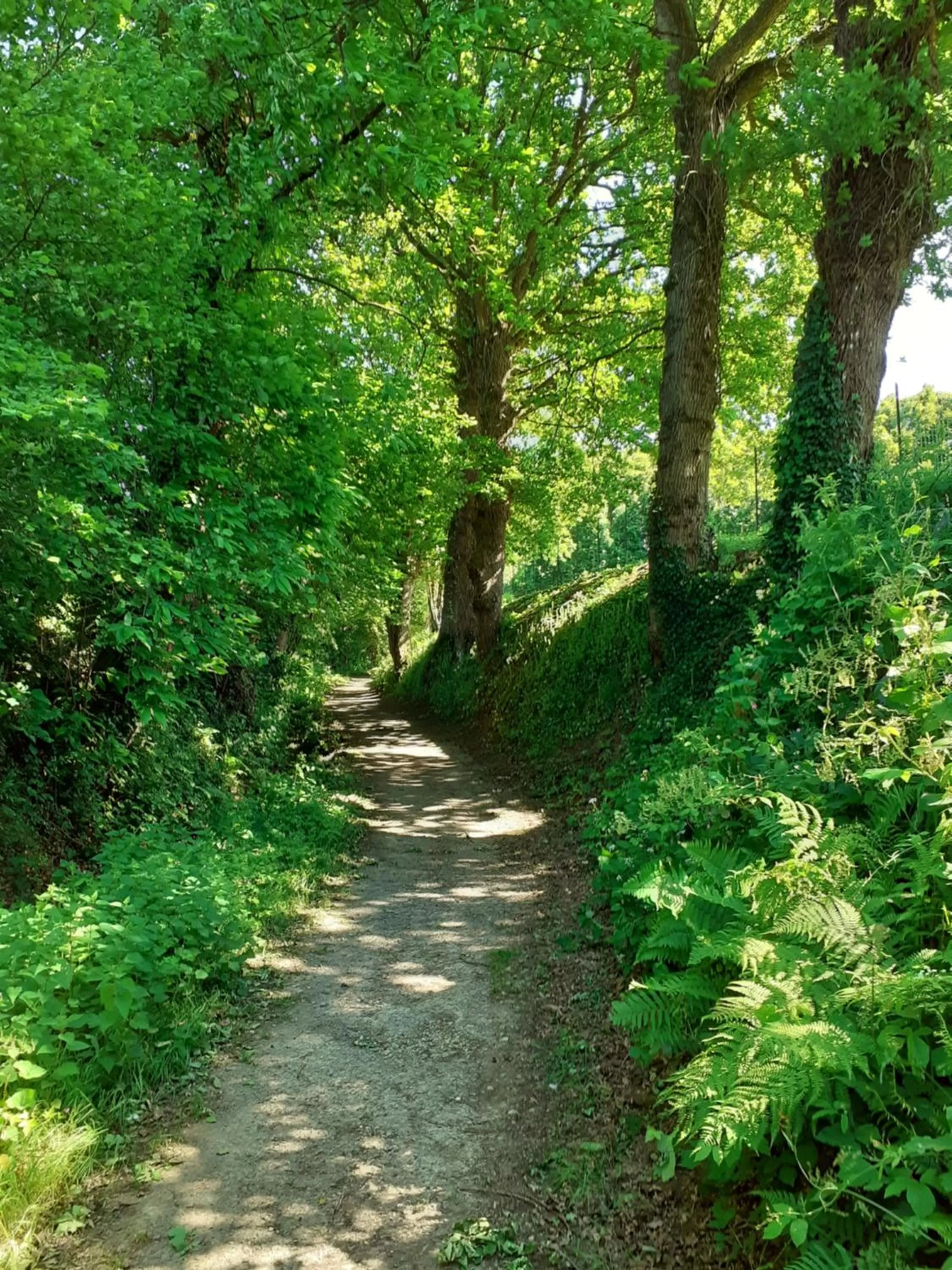 Natural landscape in Best Western Hôtel Des Voyageurs