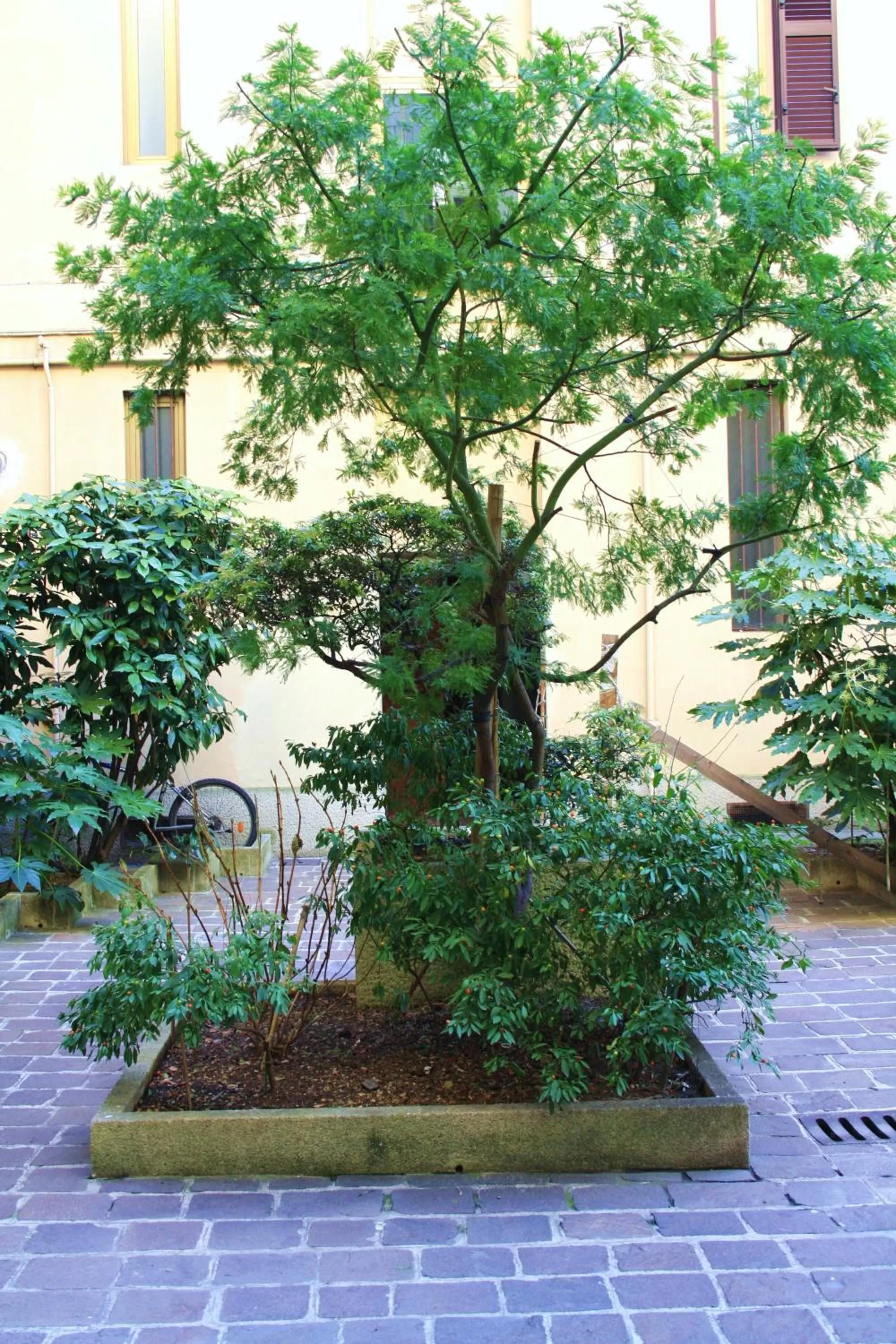 Facade/entrance in Il Cortiletto