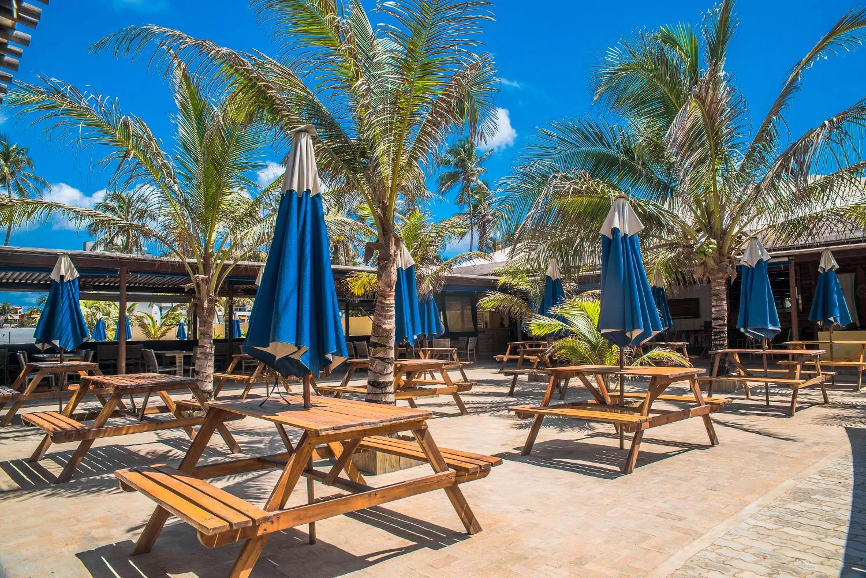 Restaurant/places to eat in Gran Hotel Stella Maris Urban Resort & Conventions