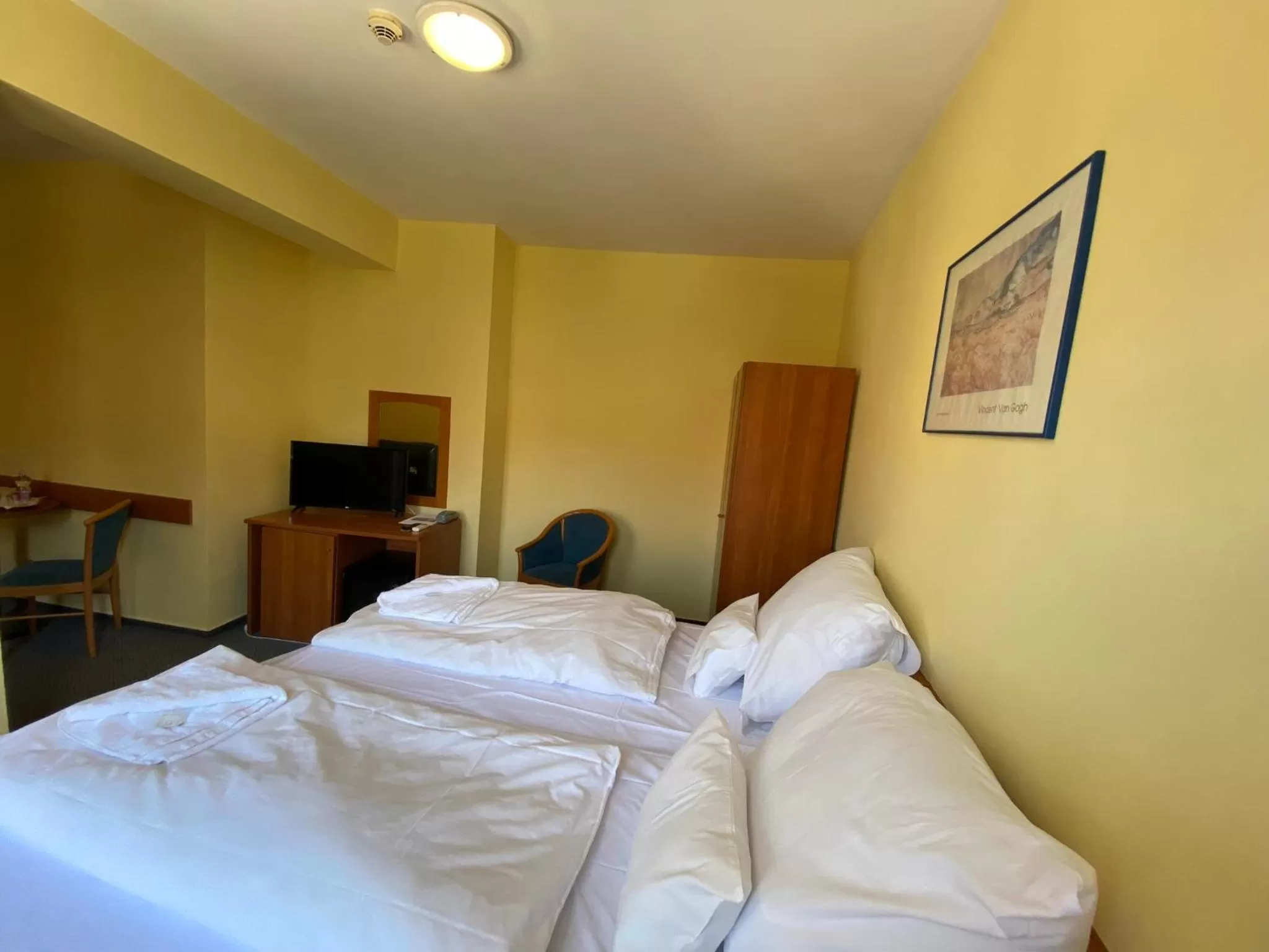 Photo of the whole room, Bed in Tisza Alfa Hotel