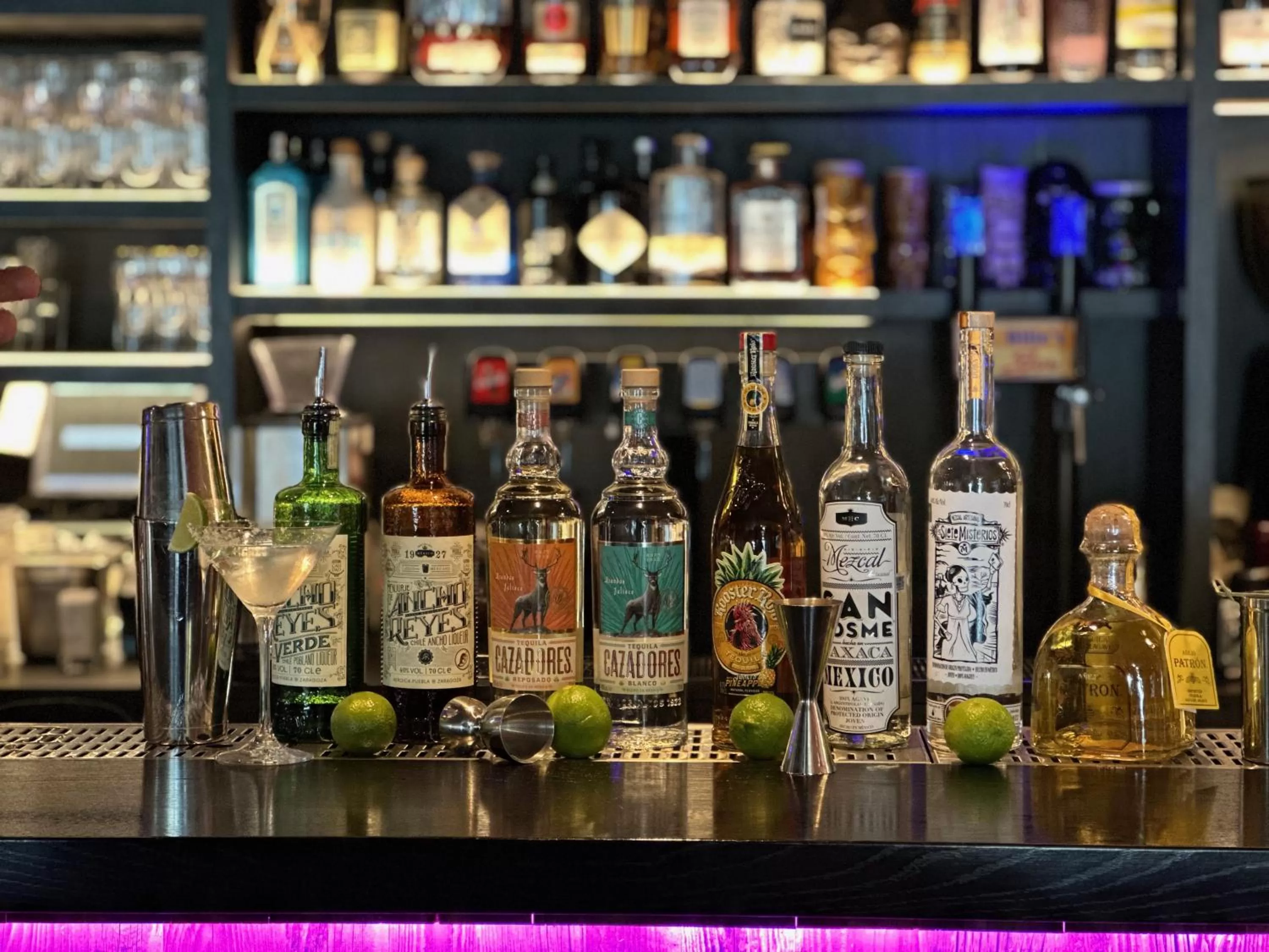 Lounge or bar in Hotel Alexander