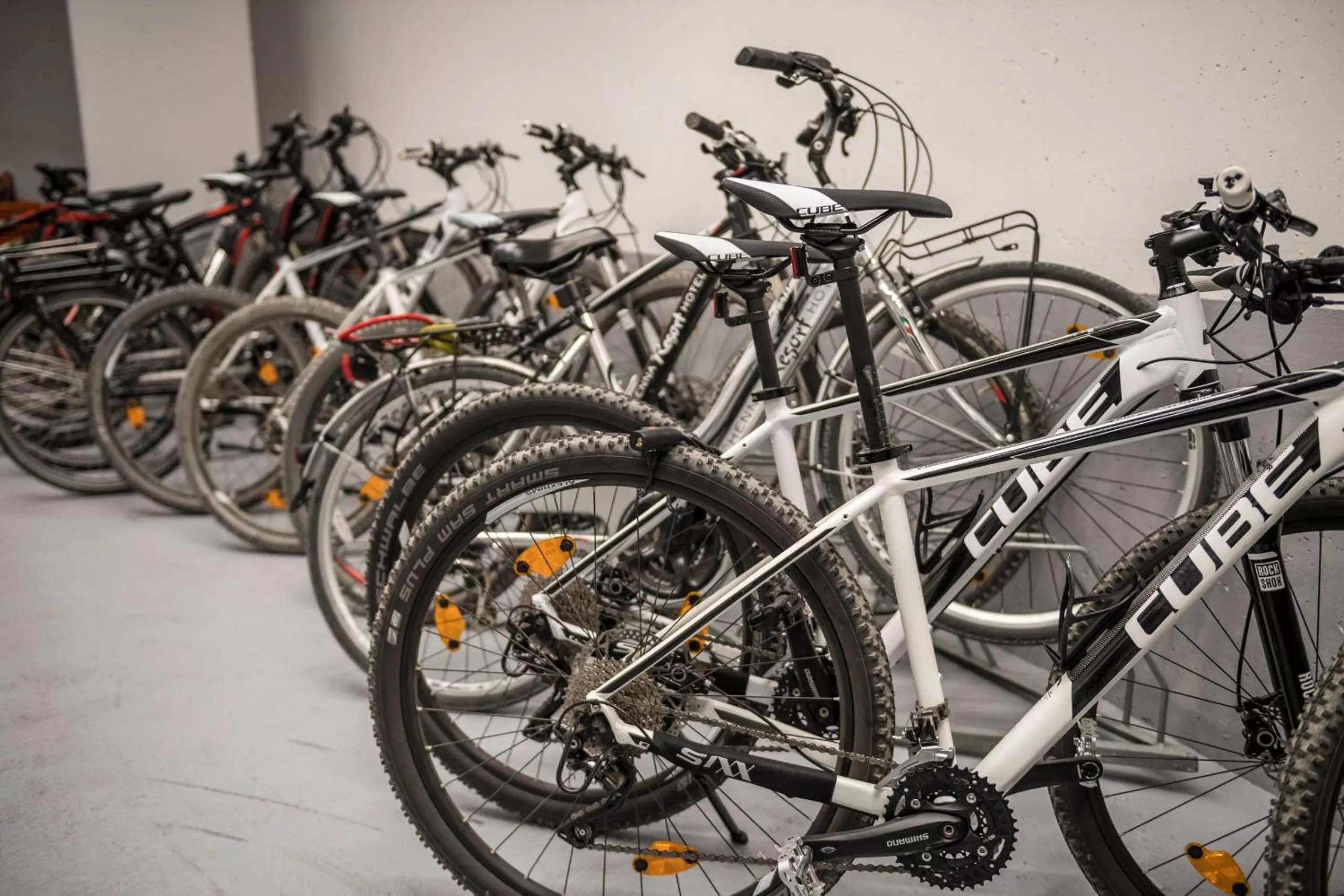 Cycling in Hotel Rosengarten (Schenna Resort)