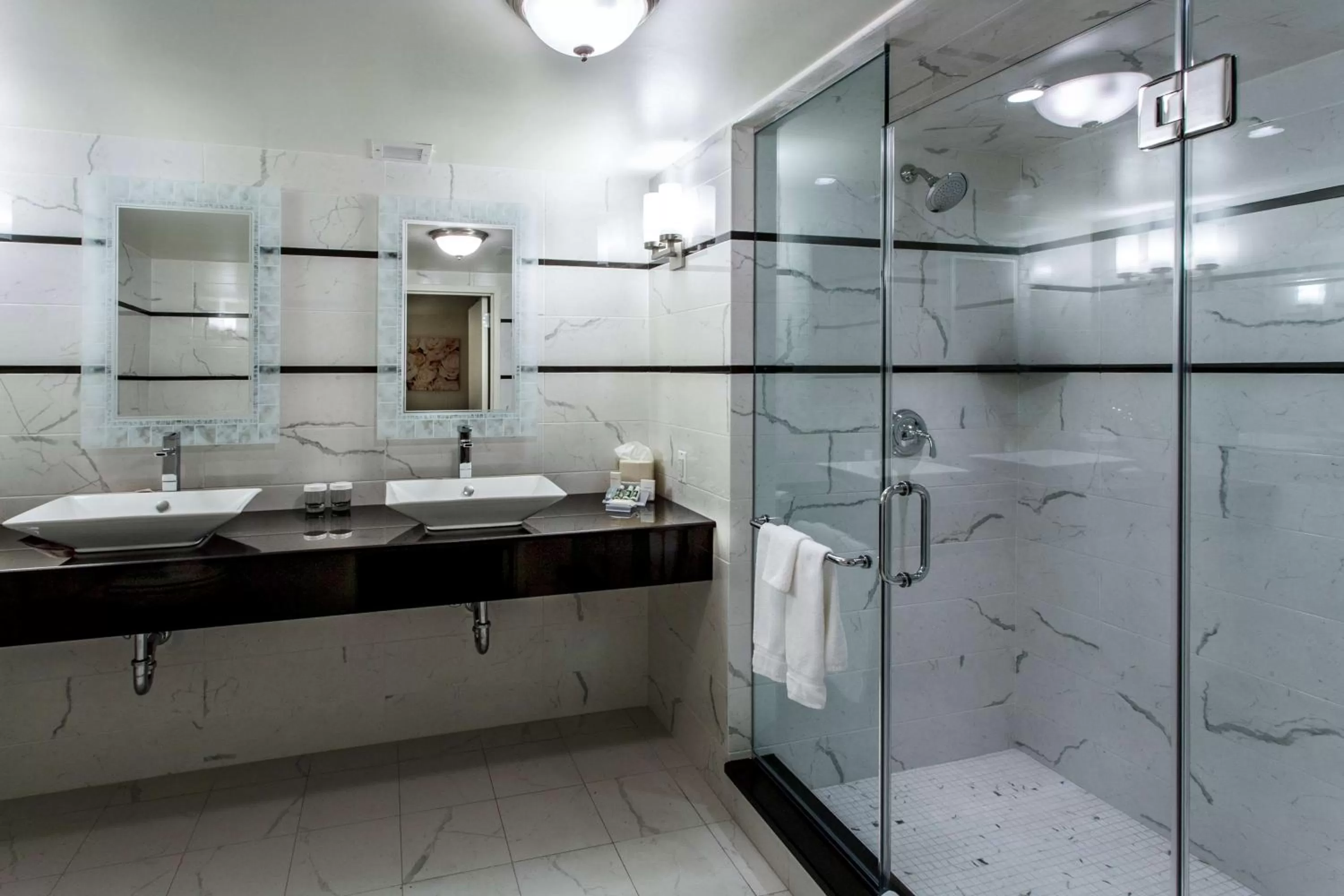 Bathroom in Hilton Garden Inn New York/Staten Island