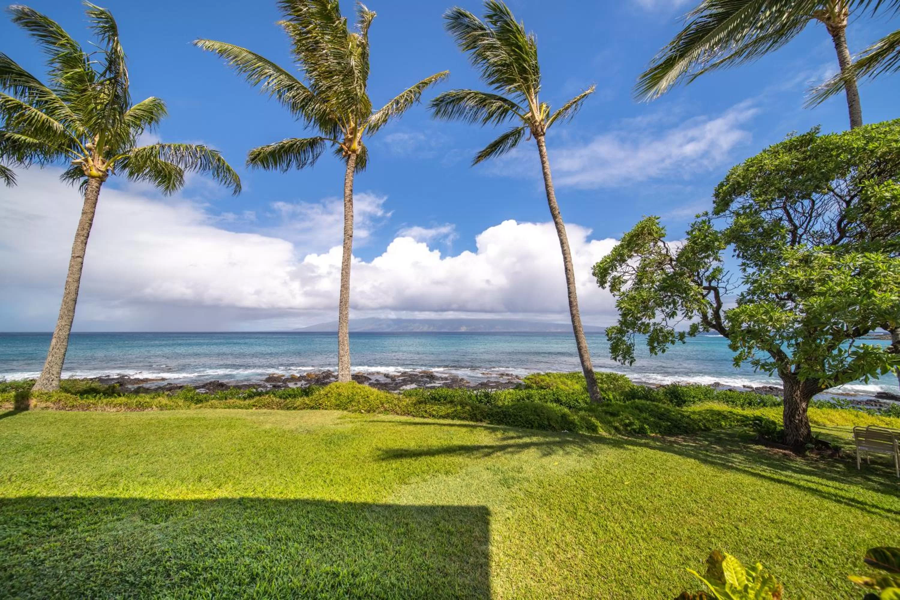 Natural landscape in Napili Shores Maui by OUTRIGGER - No Resort & Housekeeping Fees