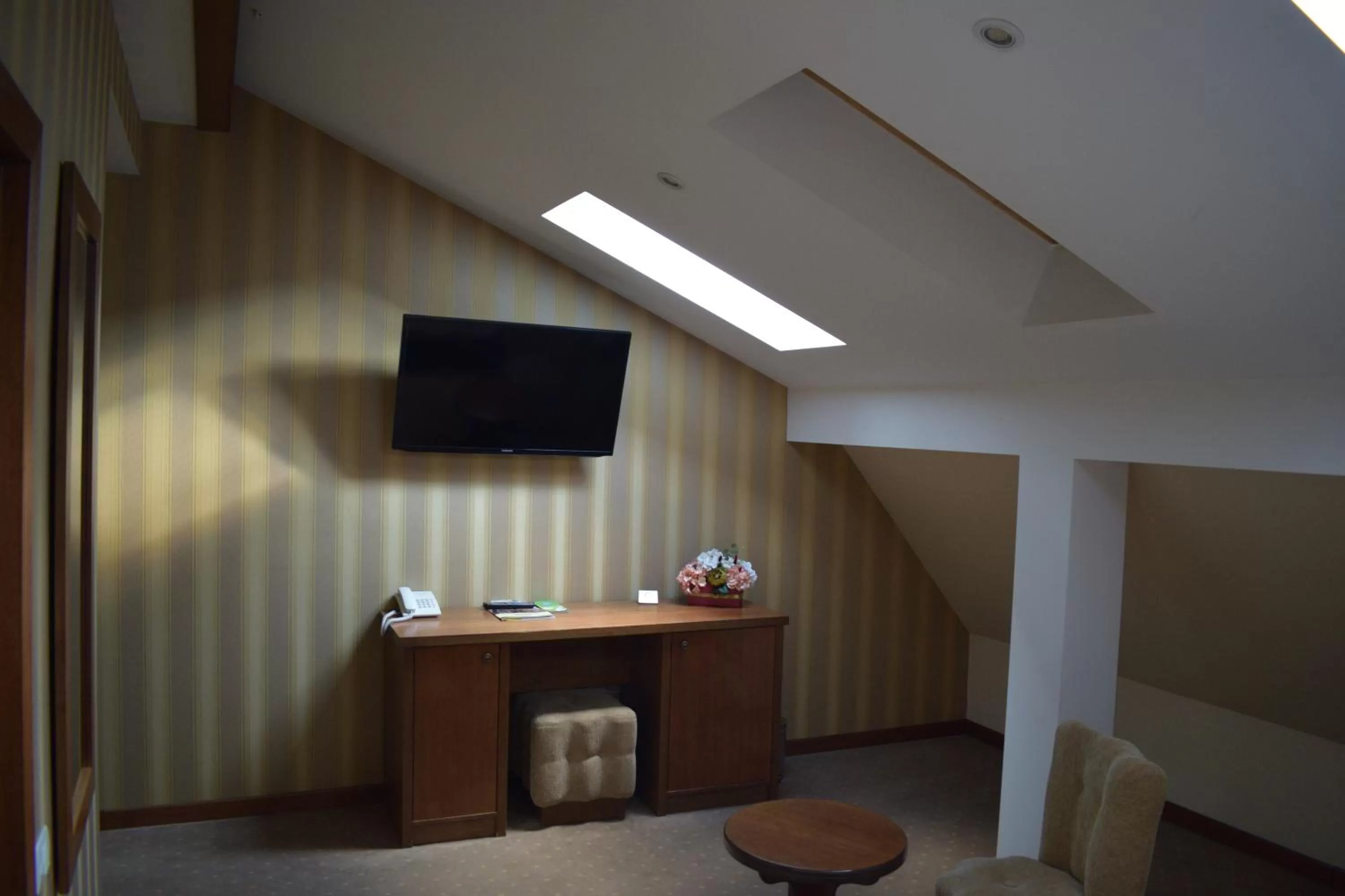 TV and multimedia in Hotel Gott